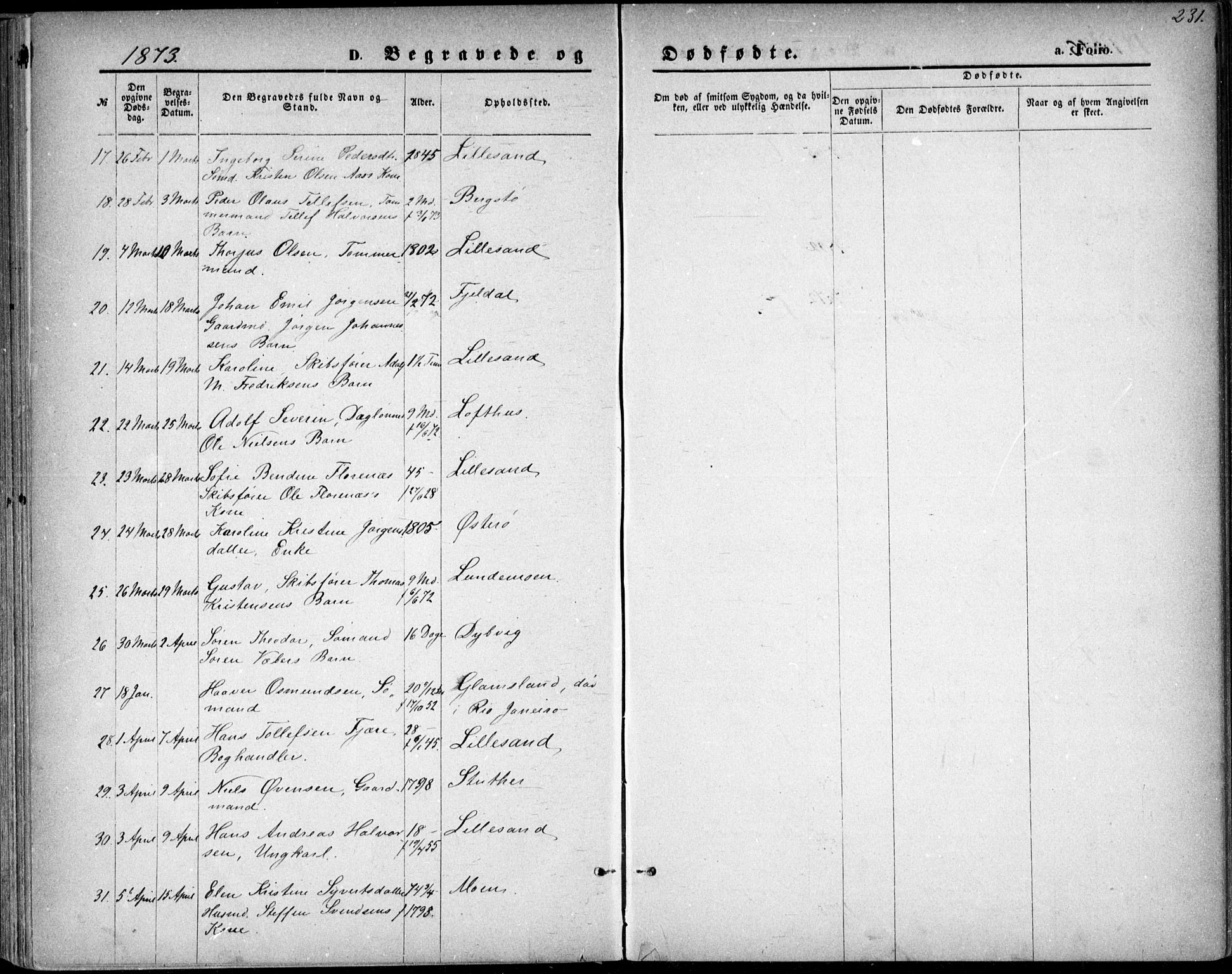 Vestre Moland sokneprestkontor, SAK/1111-0046/F/Fb/Fbb/L0005: Parish register (copy) no. B 5, 1872-1883, p. 231