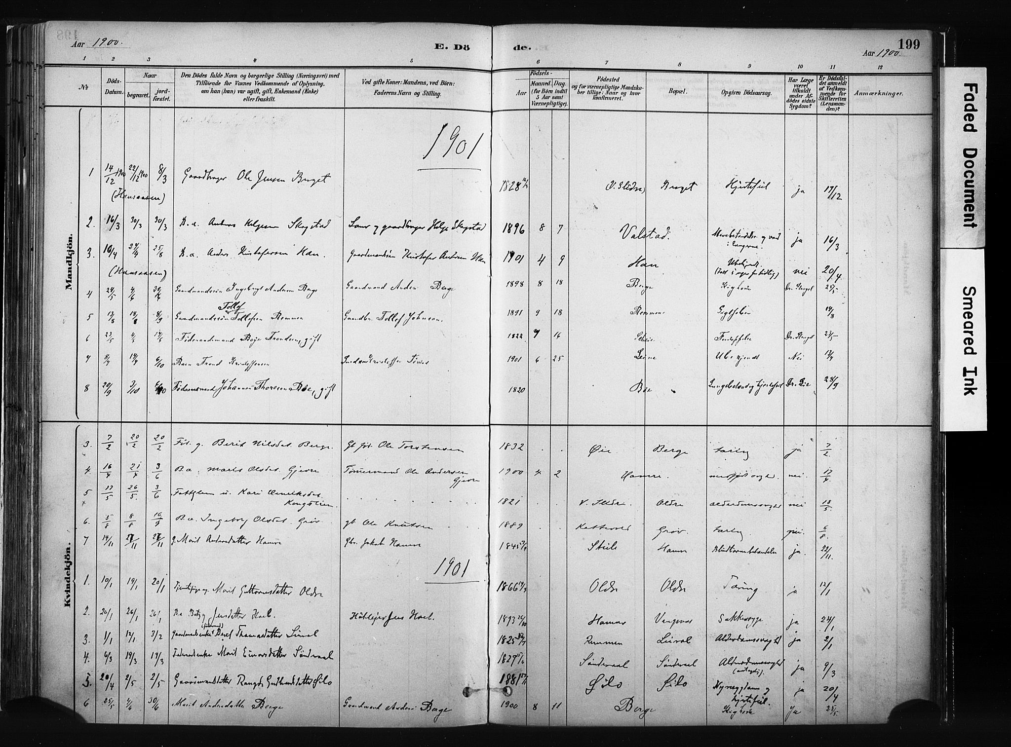 Vang prestekontor, Valdres, SAH/PREST-140/H/Ha/L0008: Parish register (official) no. 8, 1882-1910, p. 199