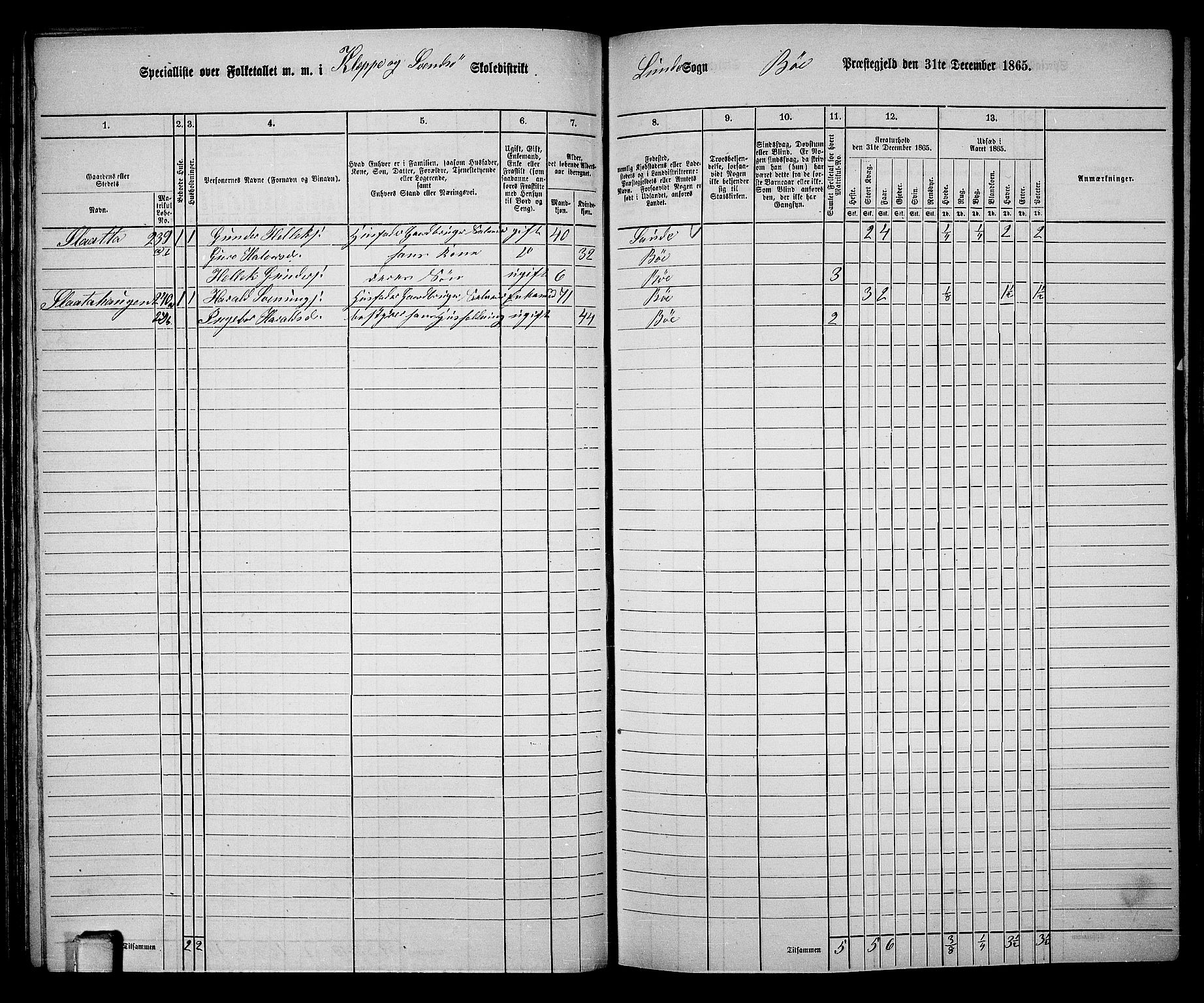 RA, 1865 census for Bø, 1865, p. 74