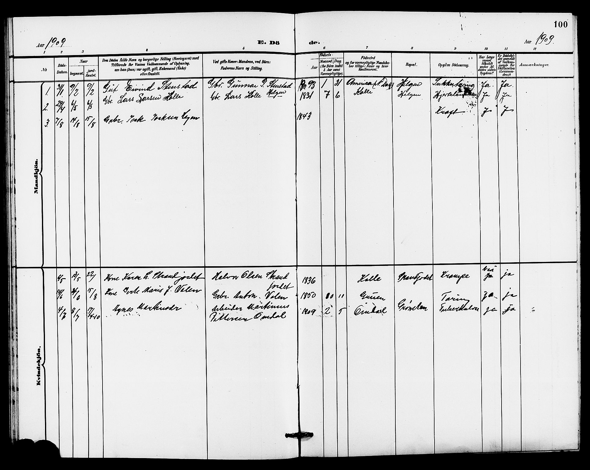 Holla kirkebøker, SAKO/A-272/G/Gb/L0002: Parish register (copy) no. II 2, 1897-1913, p. 100