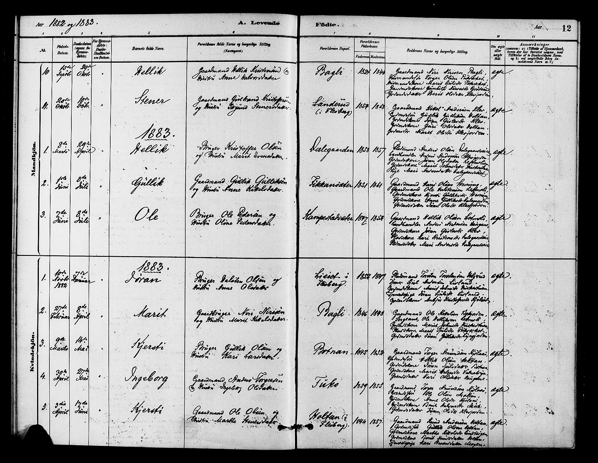 Flesberg kirkebøker, SAKO/A-18/F/Fc/L0001: Parish register (official) no. III 1, 1879-1905, p. 12