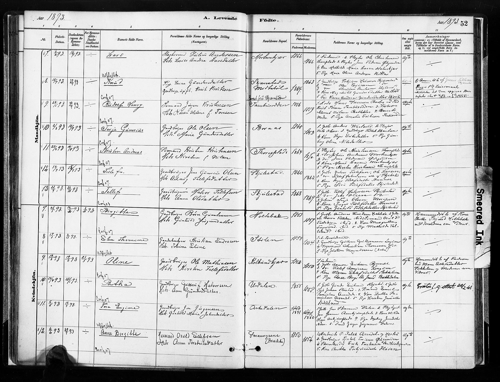 Austre Moland sokneprestkontor, SAK/1111-0001/F/Fa/Faa/L0010: Parish register (official) no. A 10, 1880-1904, p. 52