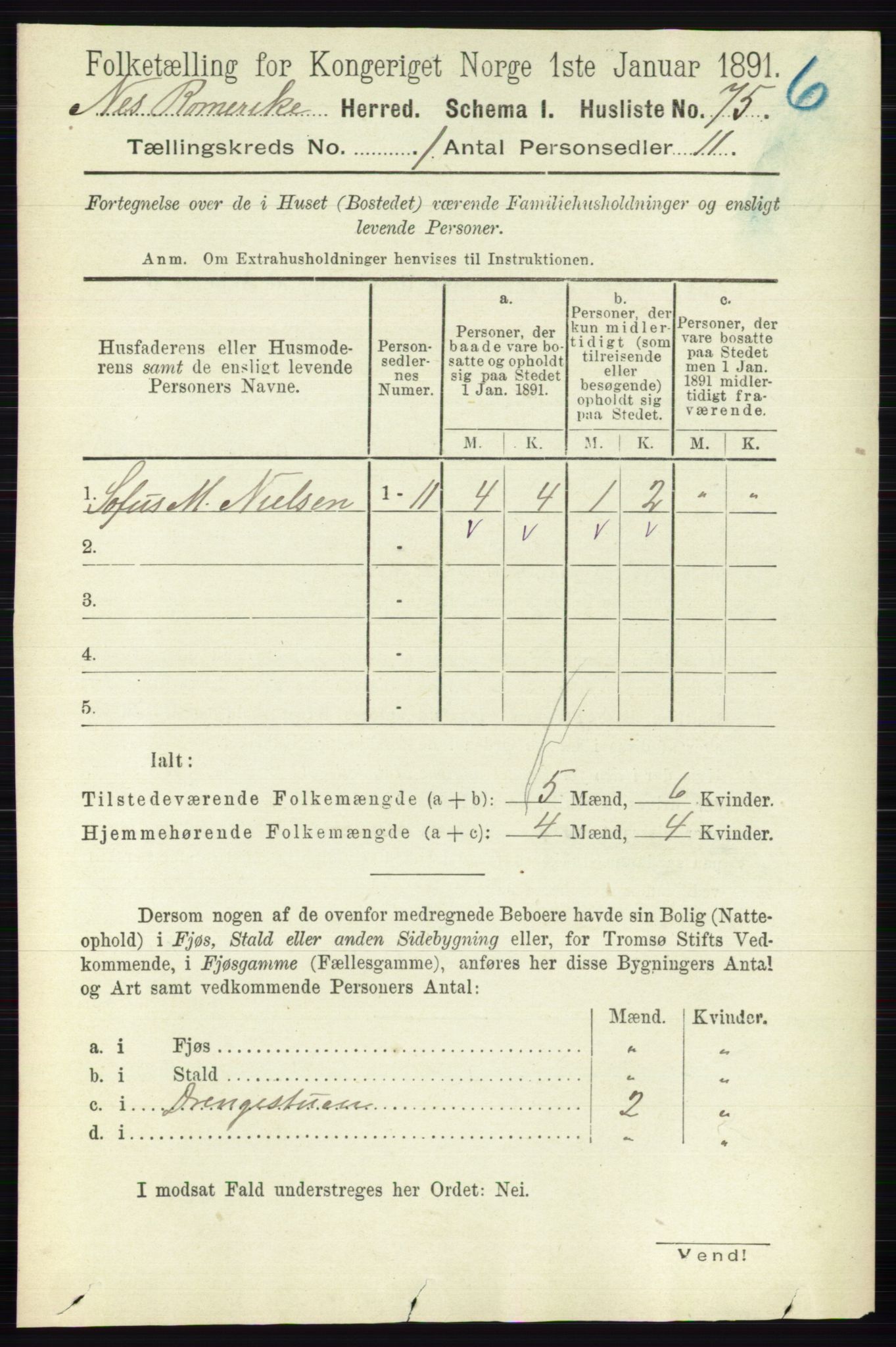 RA, 1891 census for 0236 Nes, 1891, p. 119