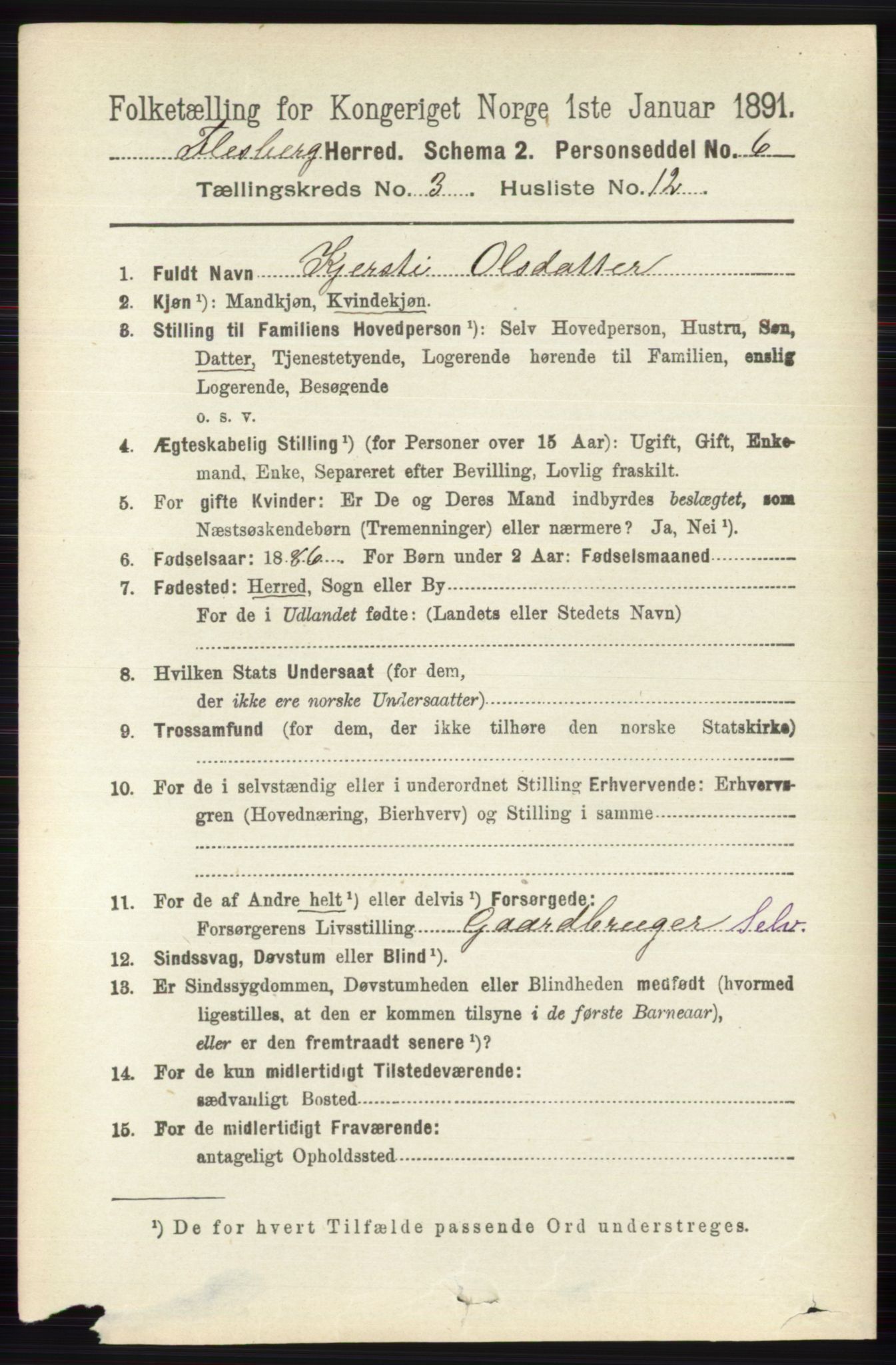 RA, 1891 census for 0631 Flesberg, 1891, p. 484