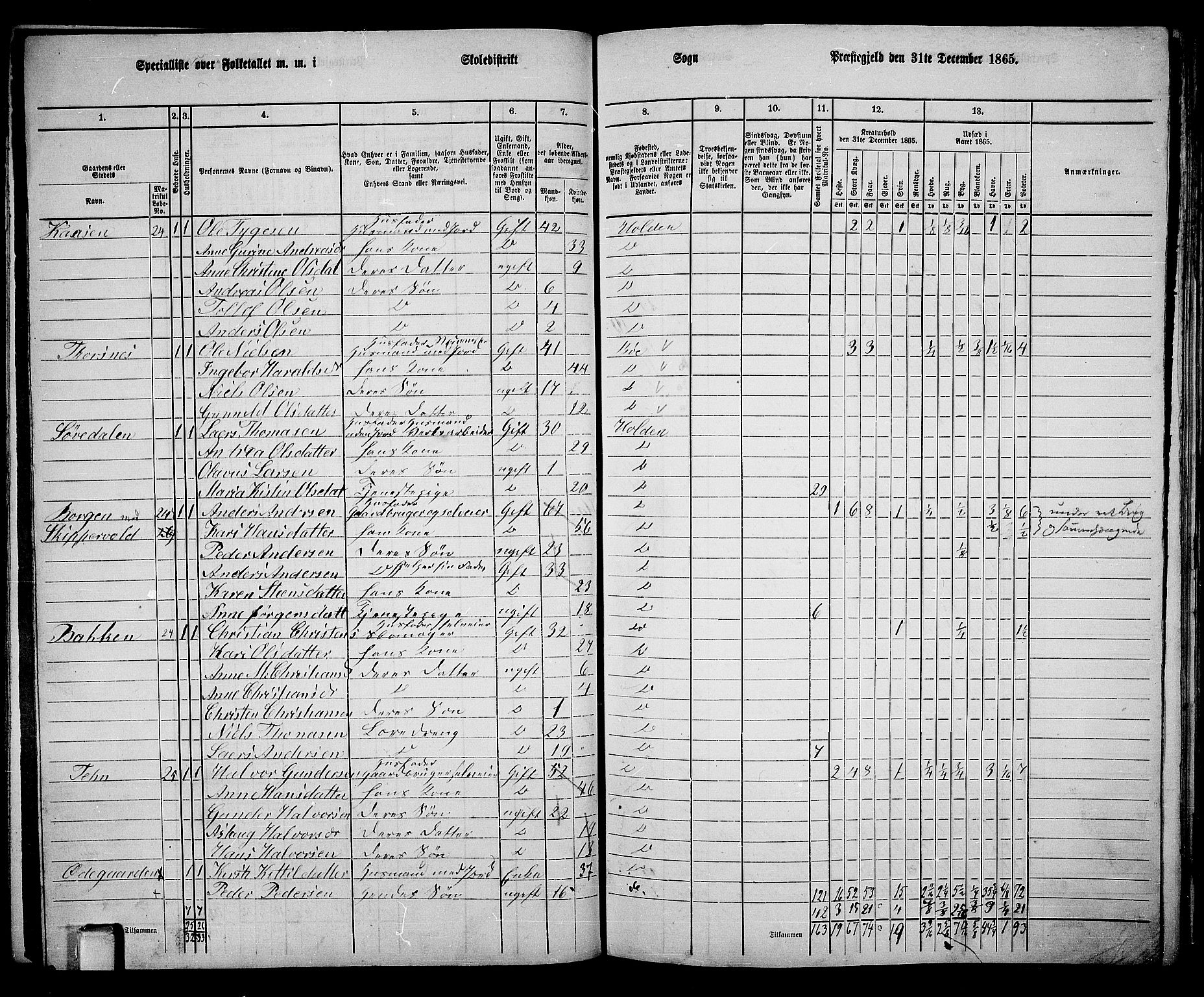 RA, 1865 census for Holla, 1865, p. 78