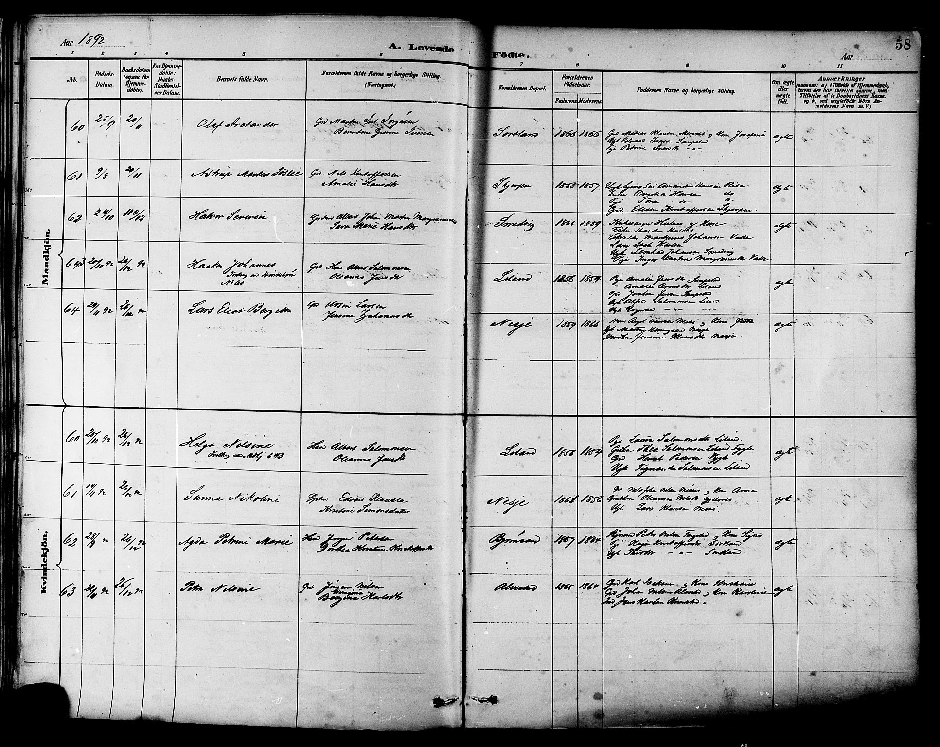 Ministerialprotokoller, klokkerbøker og fødselsregistre - Nordland, AV/SAT-A-1459/880/L1133: Parish register (official) no. 880A07, 1888-1898, p. 58