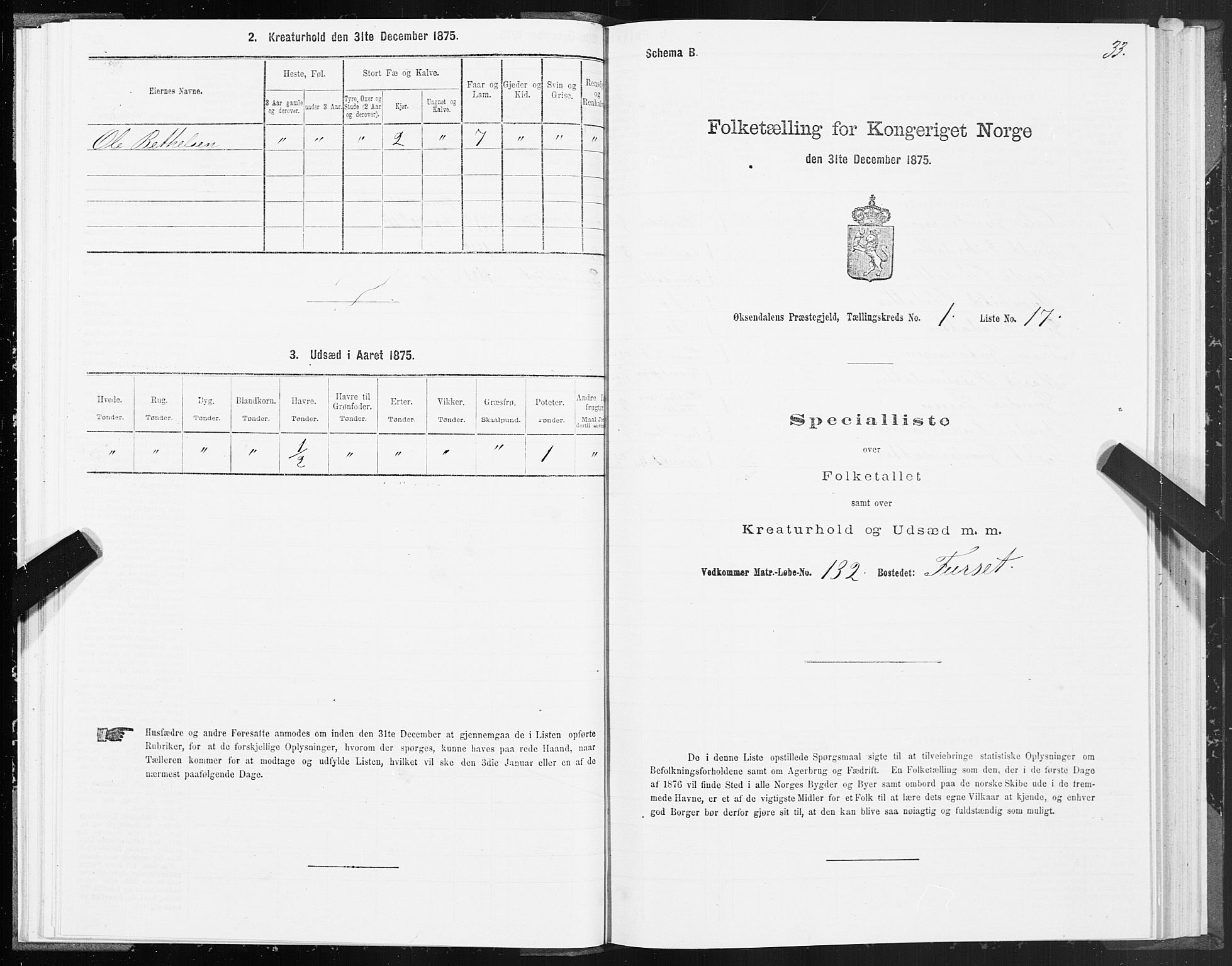 SAT, 1875 census for 1561P Øksendal, 1875, p. 1033