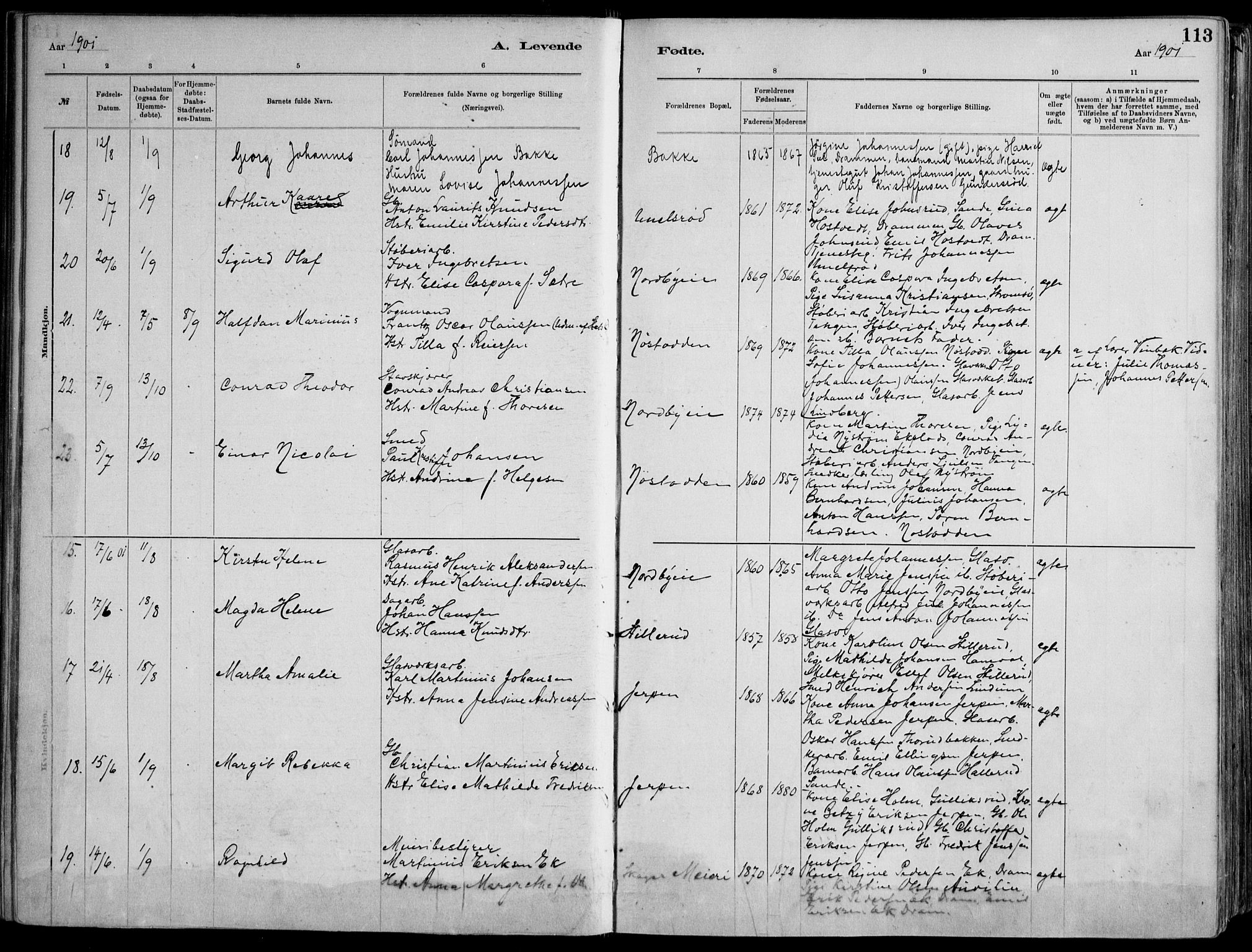 Skoger kirkebøker, SAKO/A-59/F/Fa/L0006: Parish register (official) no. I 6, 1885-1910, p. 113