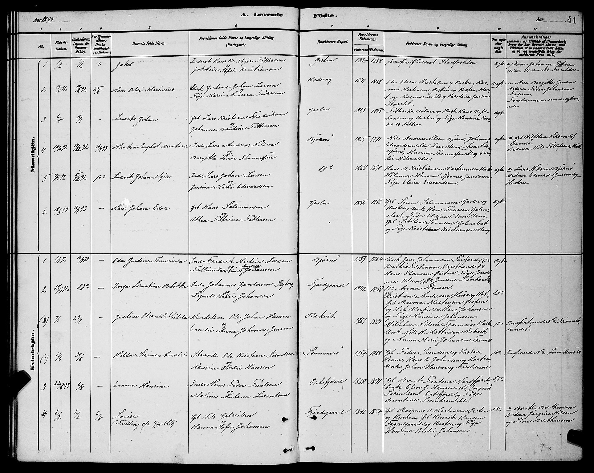 Lenvik sokneprestembete, SATØ/S-1310/H/Ha/Hab/L0021klokker: Parish register (copy) no. 21, 1884-1900, p. 41