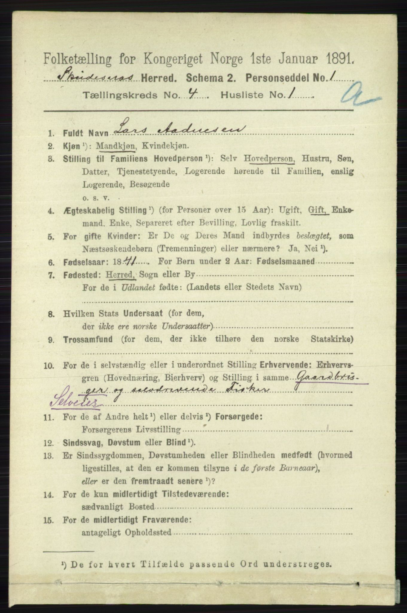 RA, 1891 census for 1150 Skudenes, 1891, p. 1870