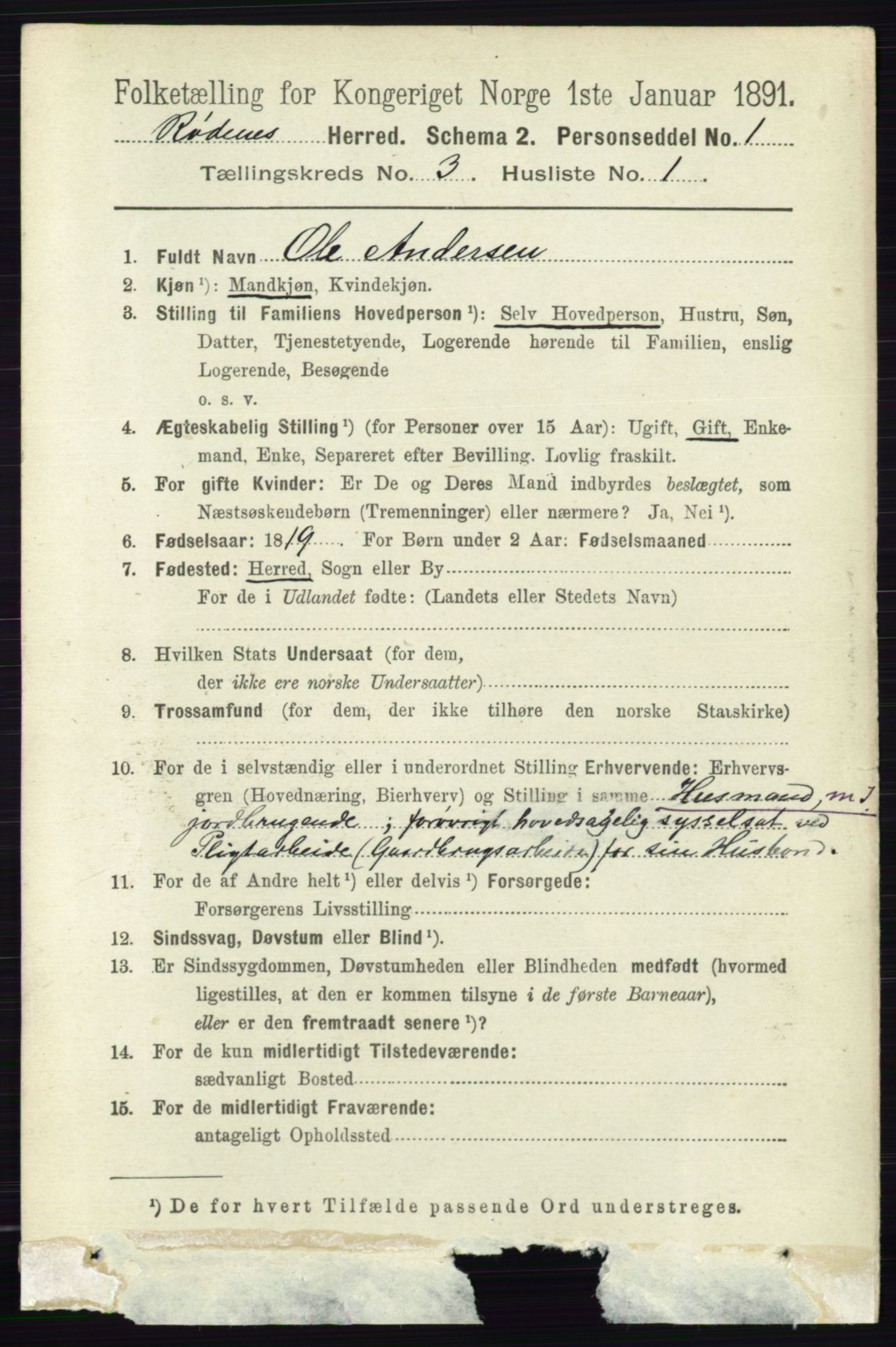 RA, 1891 census for 0120 Rødenes, 1891, p. 1194
