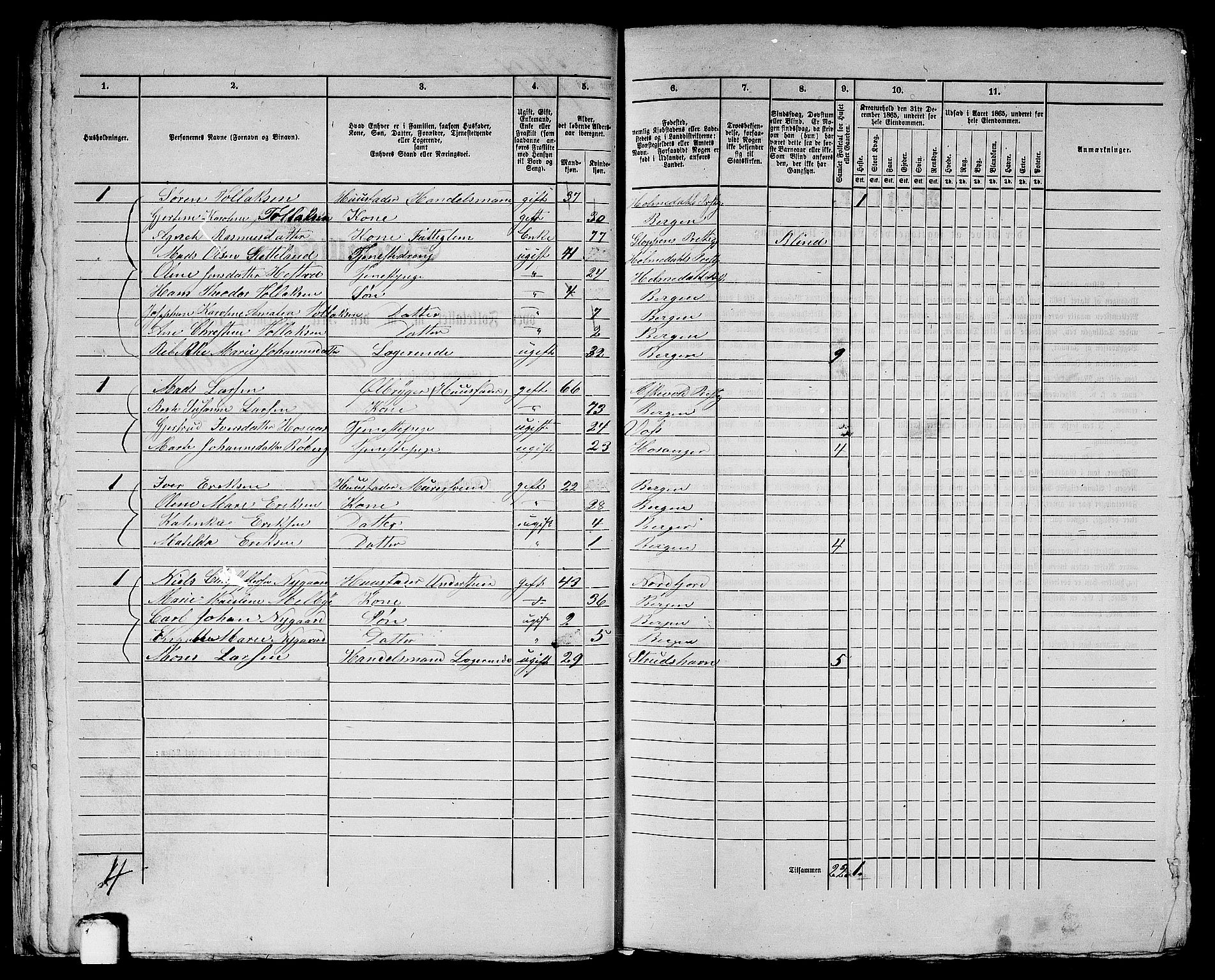 RA, 1865 census for Bergen, 1865, p. 1596