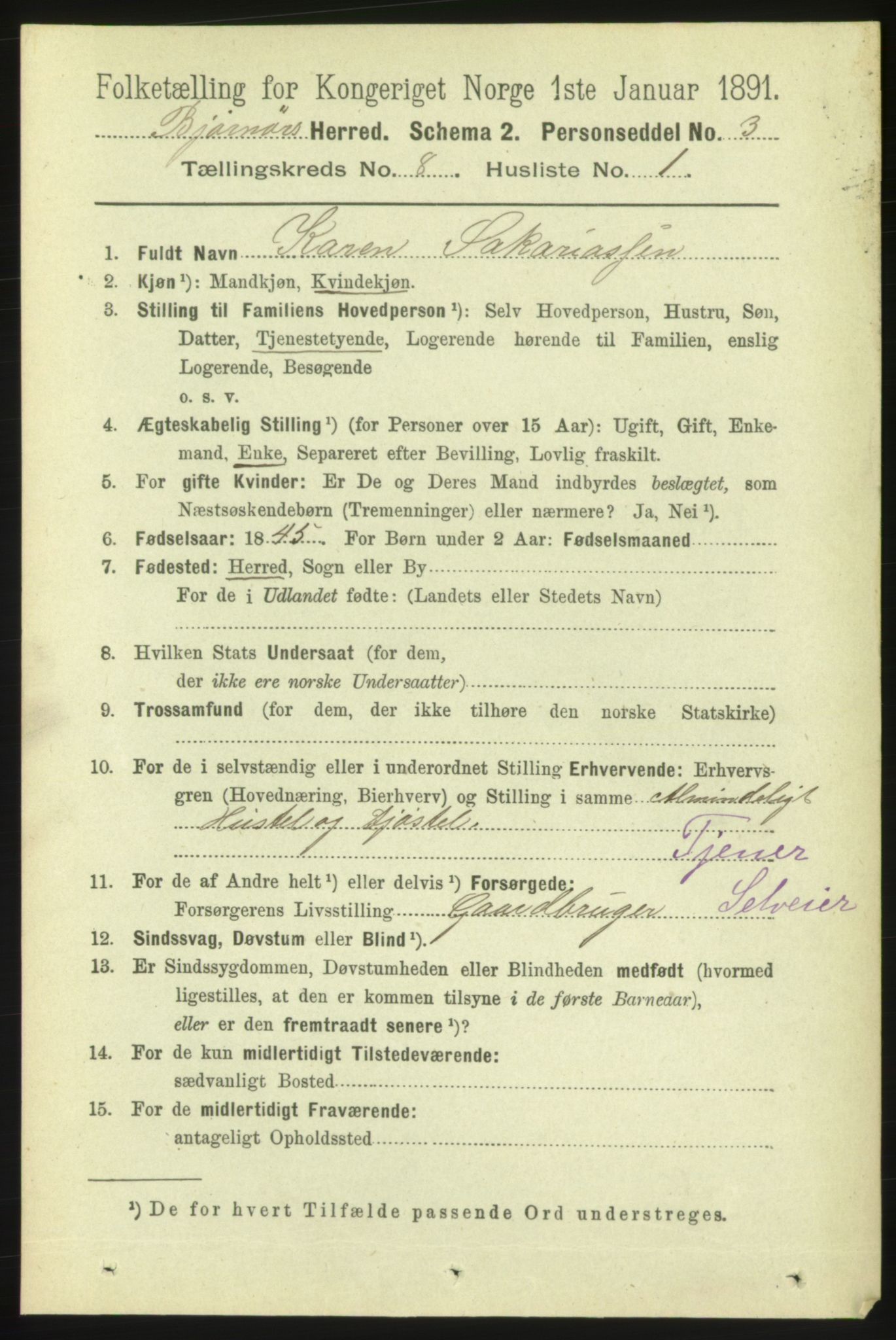 RA, 1891 census for 1632 Bjørnør, 1891, p. 3379