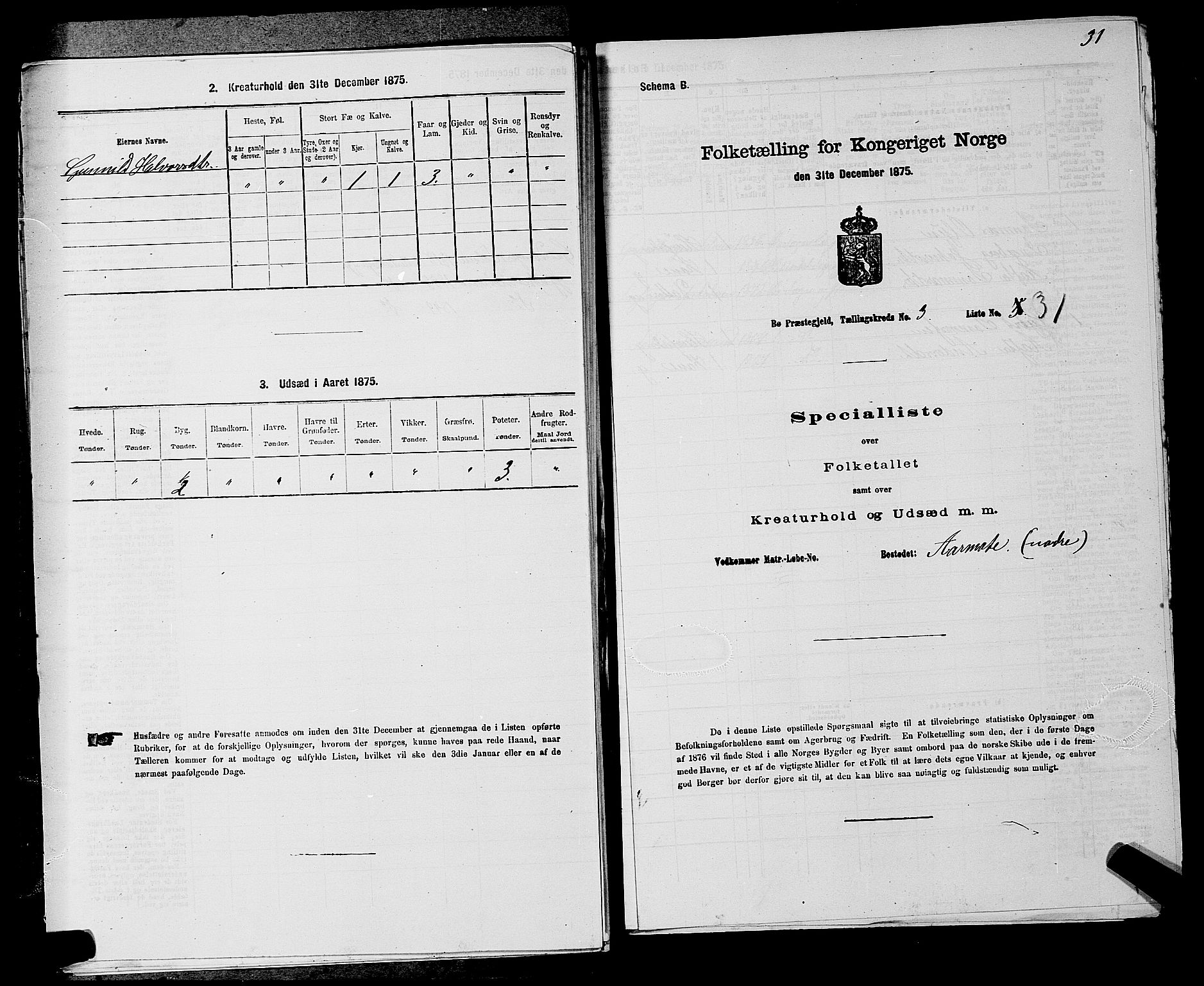 SAKO, 1875 census for 0821P Bø, 1875, p. 419