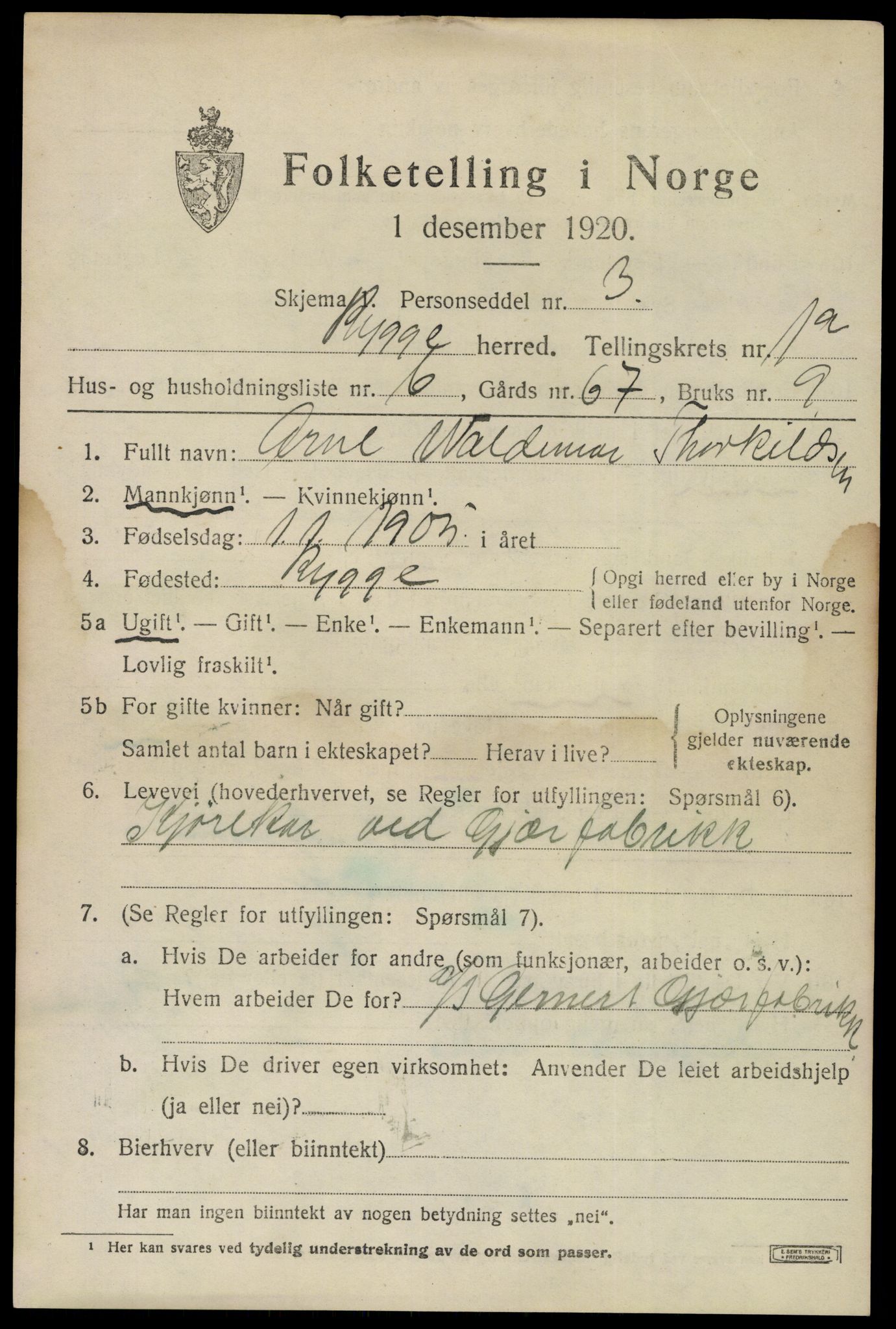 SAO, 1920 census for Rygge, 1920, p. 4165