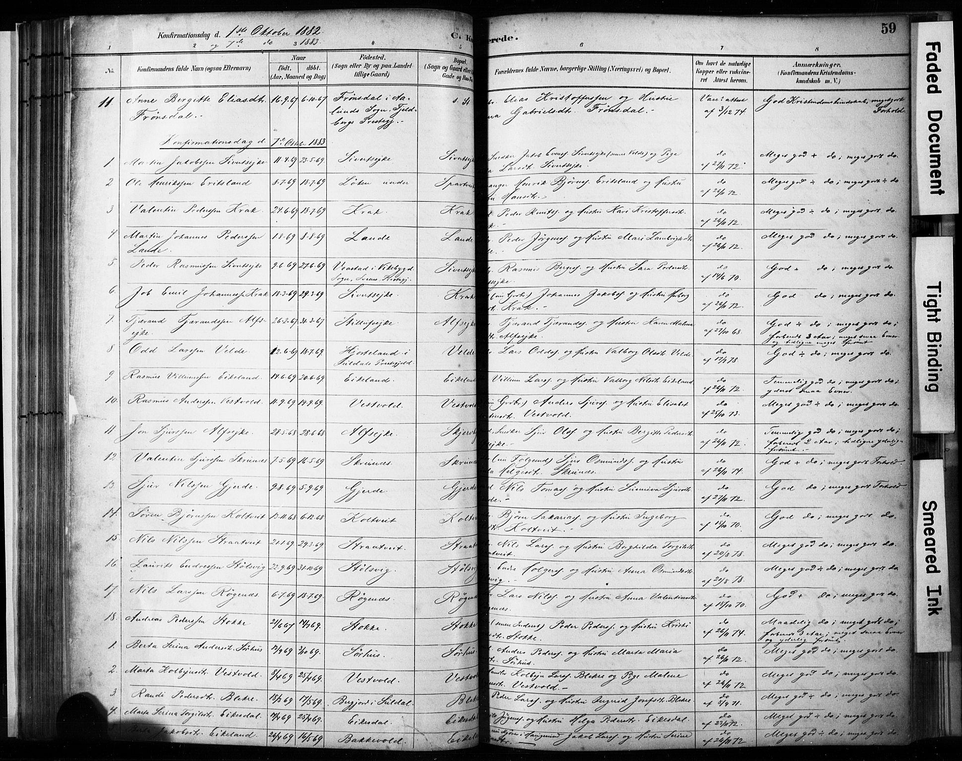 Skjold sokneprestkontor, AV/SAST-A-101847/H/Ha/Haa/L0009: Parish register (official) no. A 9, 1882-1898, p. 59