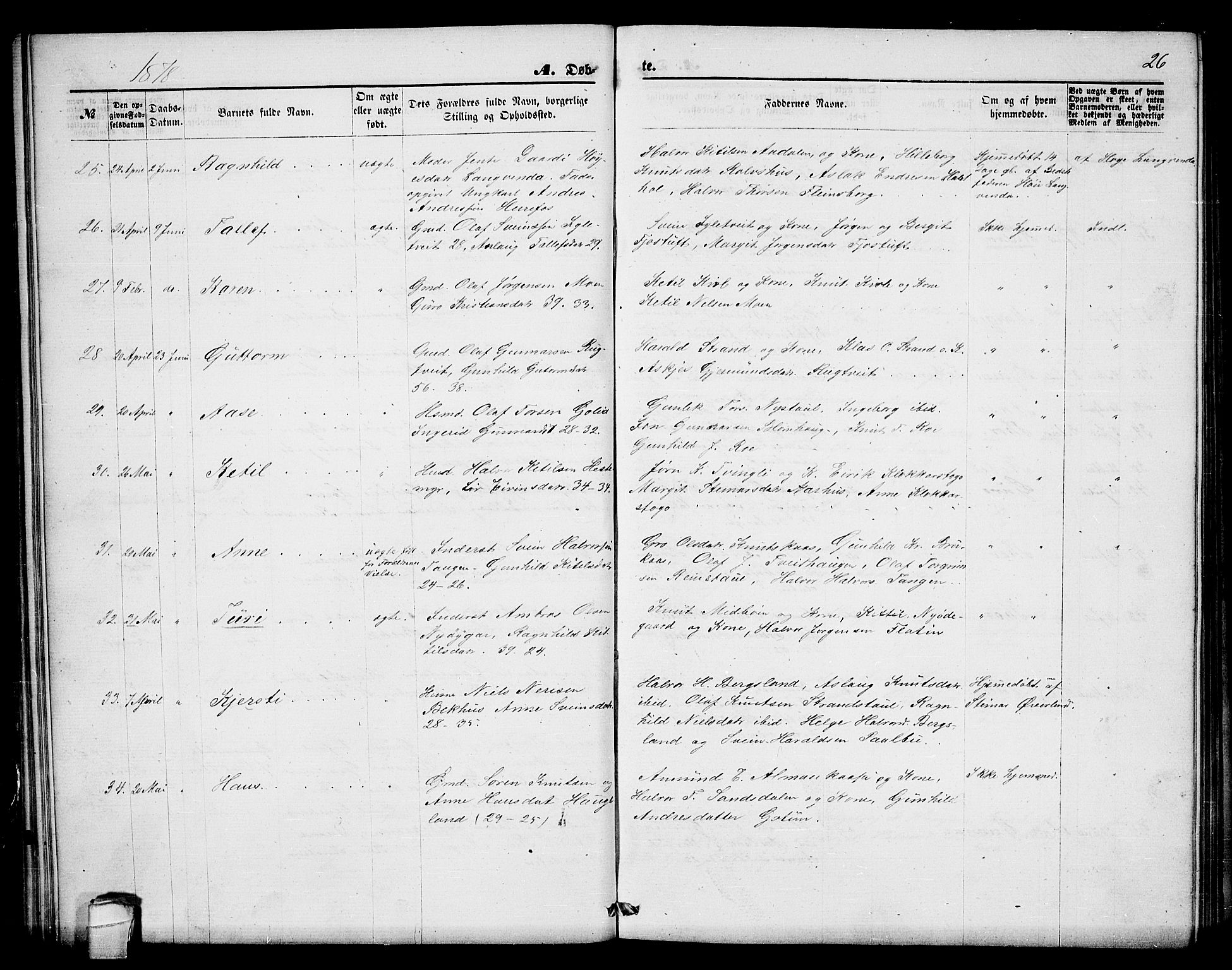 Seljord kirkebøker, AV/SAKO-A-20/G/Ga/L0004: Parish register (copy) no. I 4, 1873-1886, p. 26