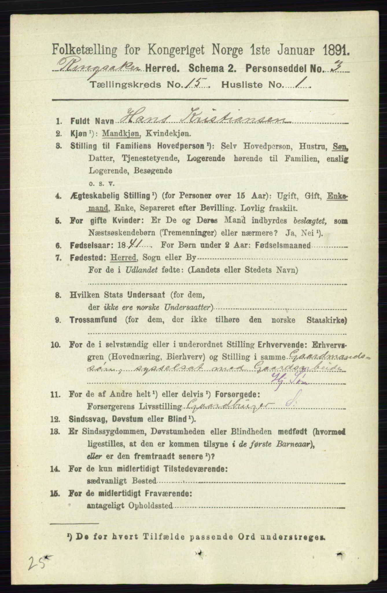 RA, 1891 census for 0412 Ringsaker, 1891, p. 8485