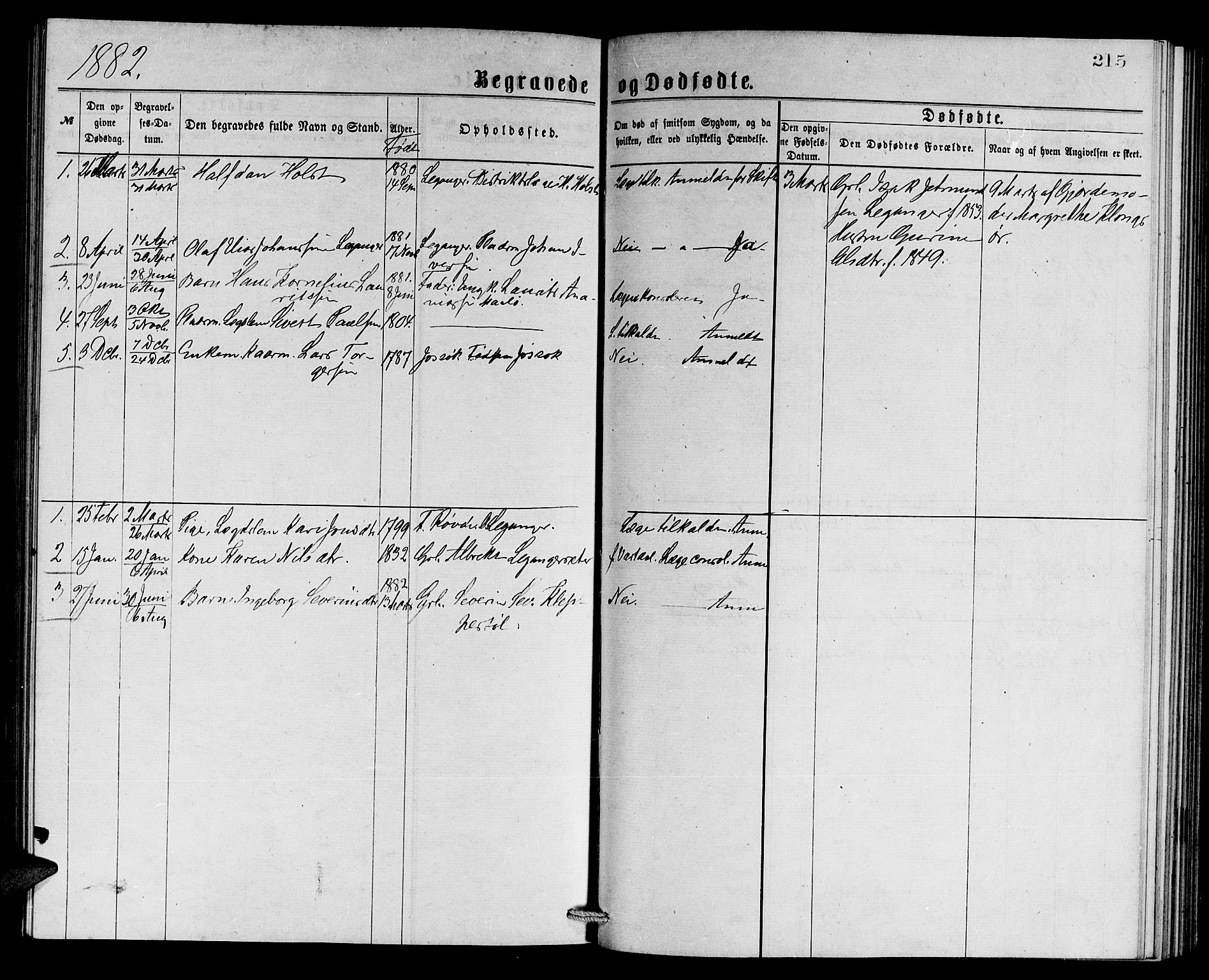 Ministerialprotokoller, klokkerbøker og fødselsregistre - Møre og Romsdal, SAT/A-1454/508/L0094: Parish register (official) no. 508A01, 1873-1886, p. 215