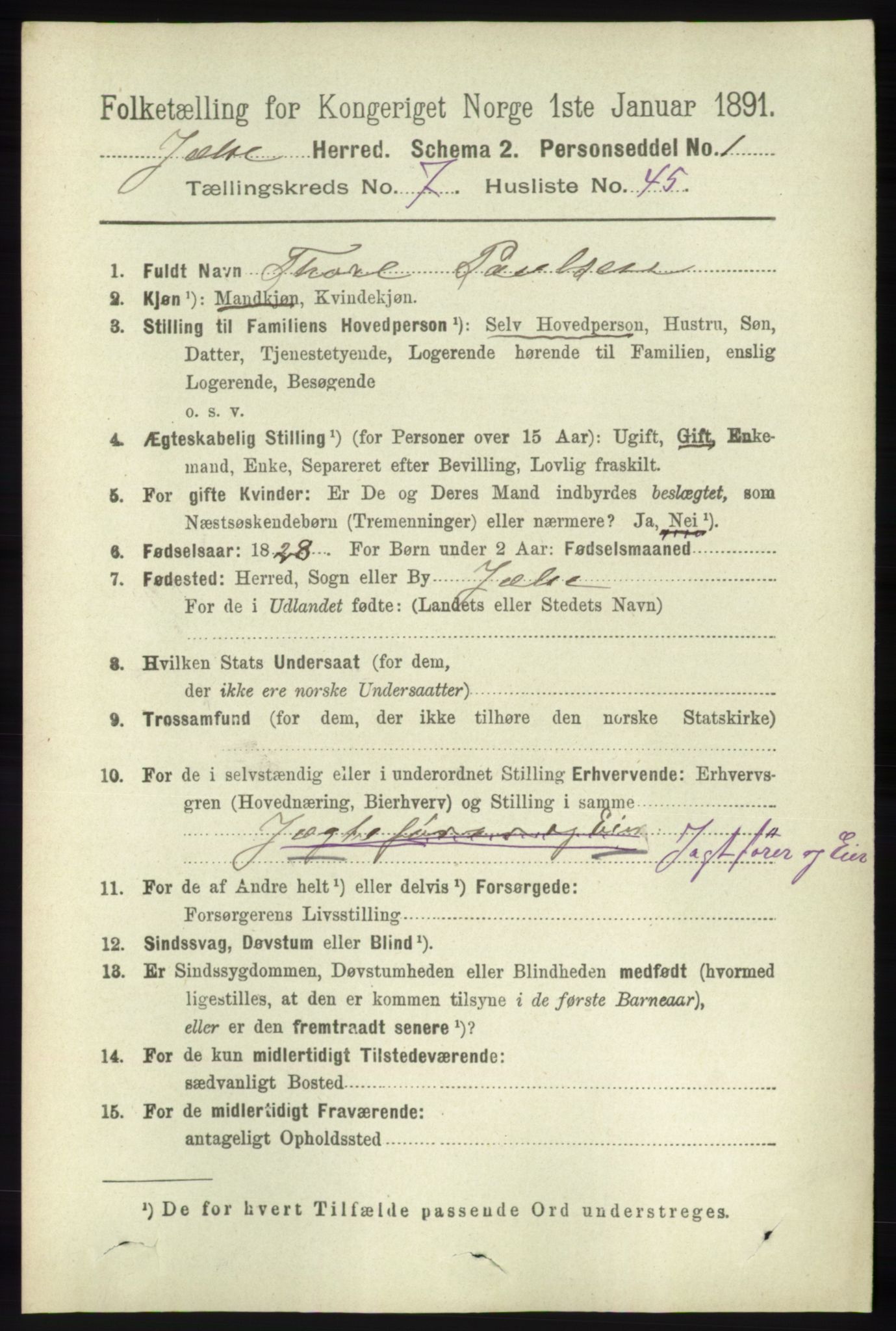 RA, 1891 census for 1138 Jelsa, 1891, p. 1745