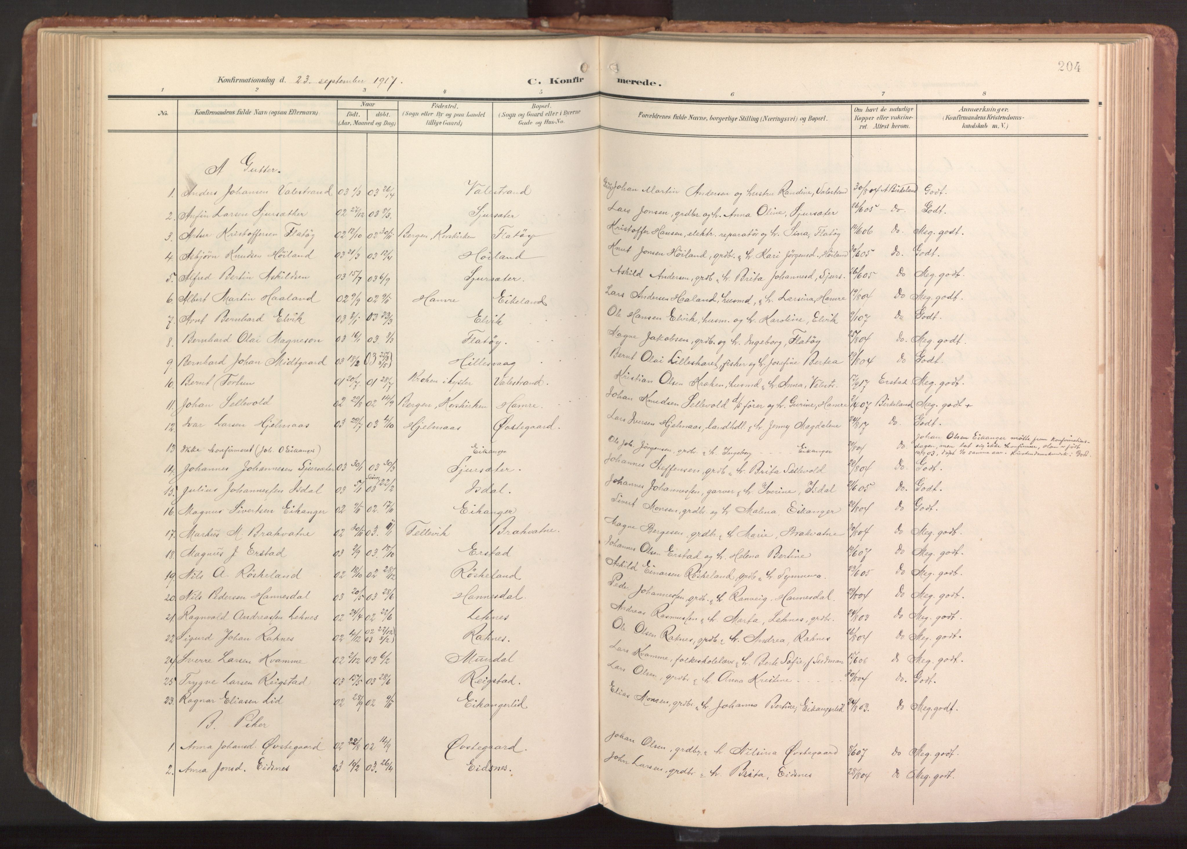 Hamre sokneprestembete, AV/SAB-A-75501/H/Ha/Haa/Haab/L0002: Parish register (official) no. B 2, 1905-1924, p. 204