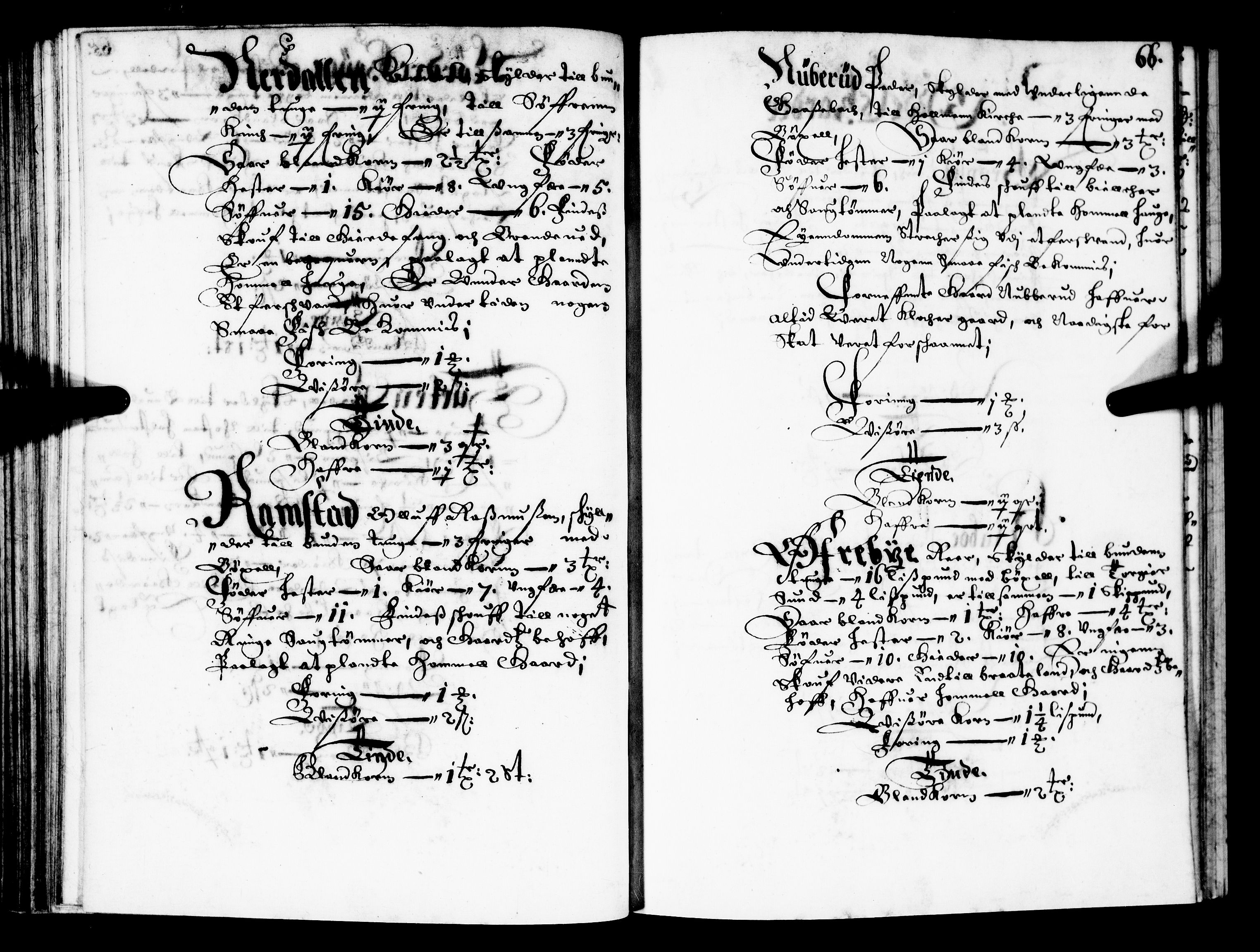 Rentekammeret inntil 1814, Realistisk ordnet avdeling, AV/RA-EA-4070/N/Nb/Nba/L0022: Buskerud fogderi, 1667, p. 65b-66a