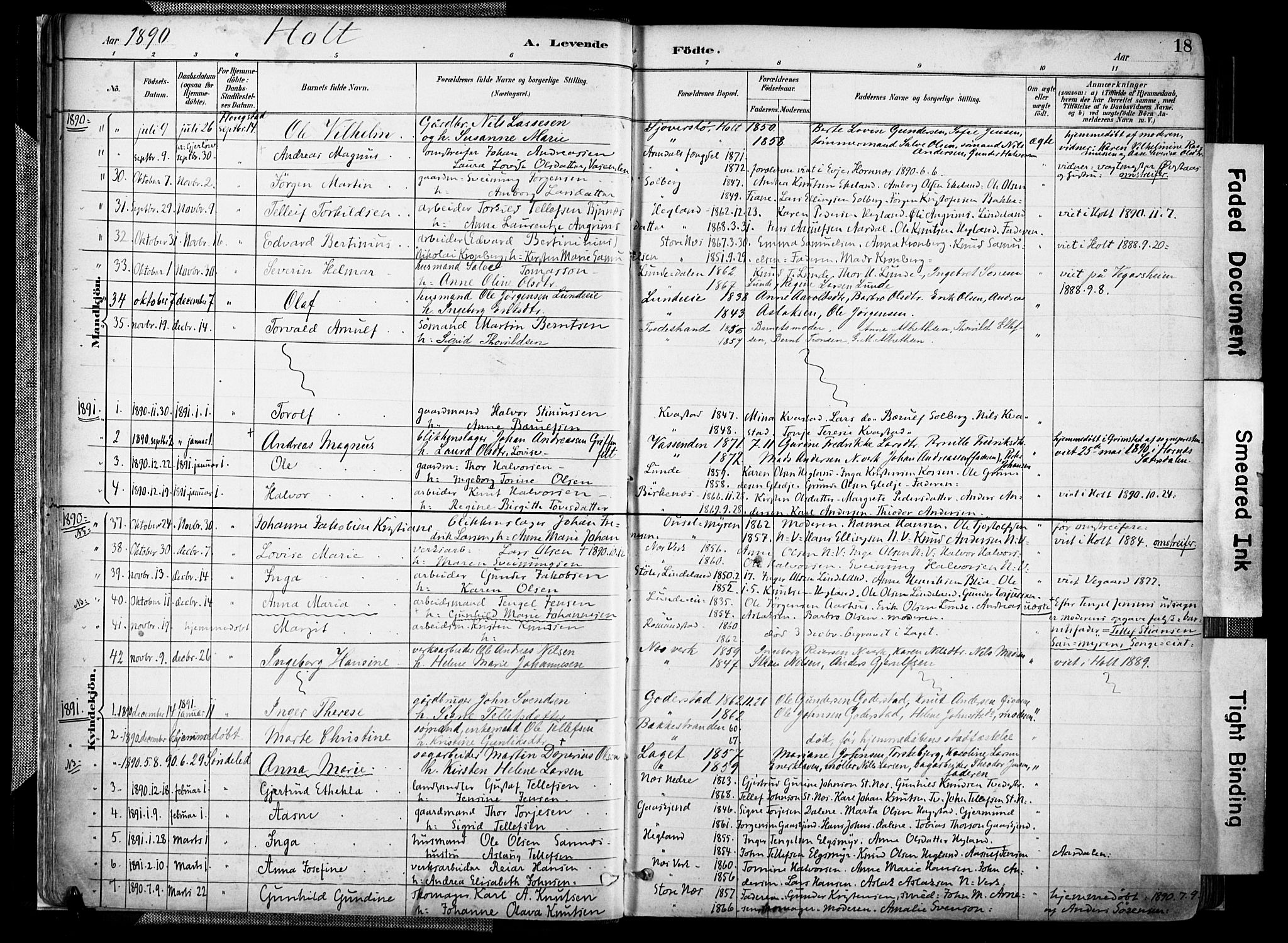 Holt sokneprestkontor, AV/SAK-1111-0021/F/Fa/L0012: Parish register (official) no. A 12, 1885-1907, p. 18