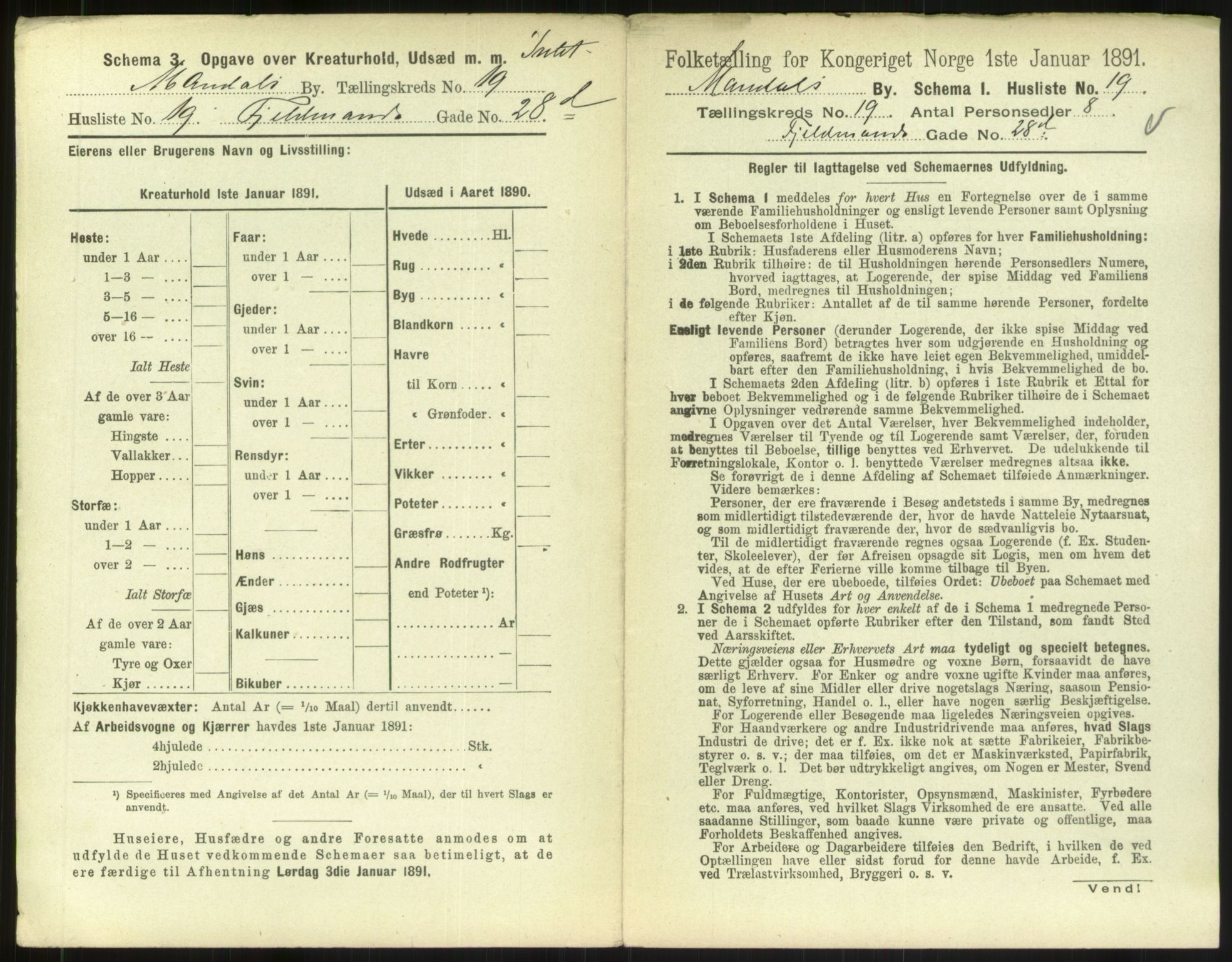 RA, 1891 census for 1002 Mandal, 1891, p. 891