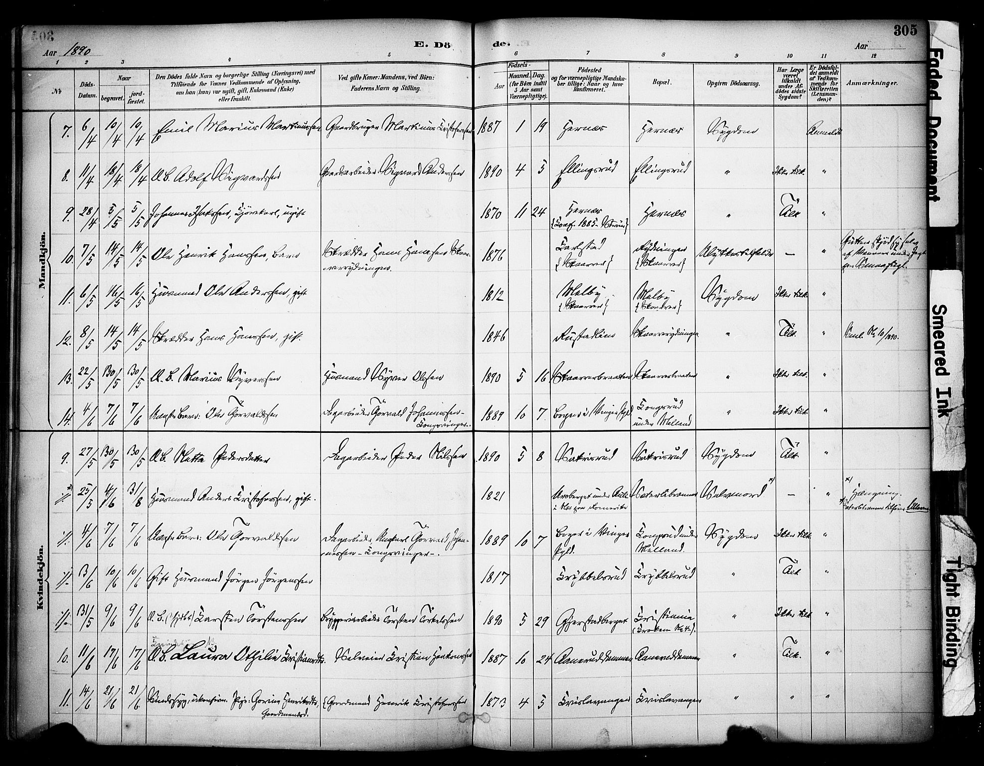 Sør-Odal prestekontor, AV/SAH-PREST-030/H/Ha/Haa/L0007: Parish register (official) no. 7, 1886-1925, p. 305