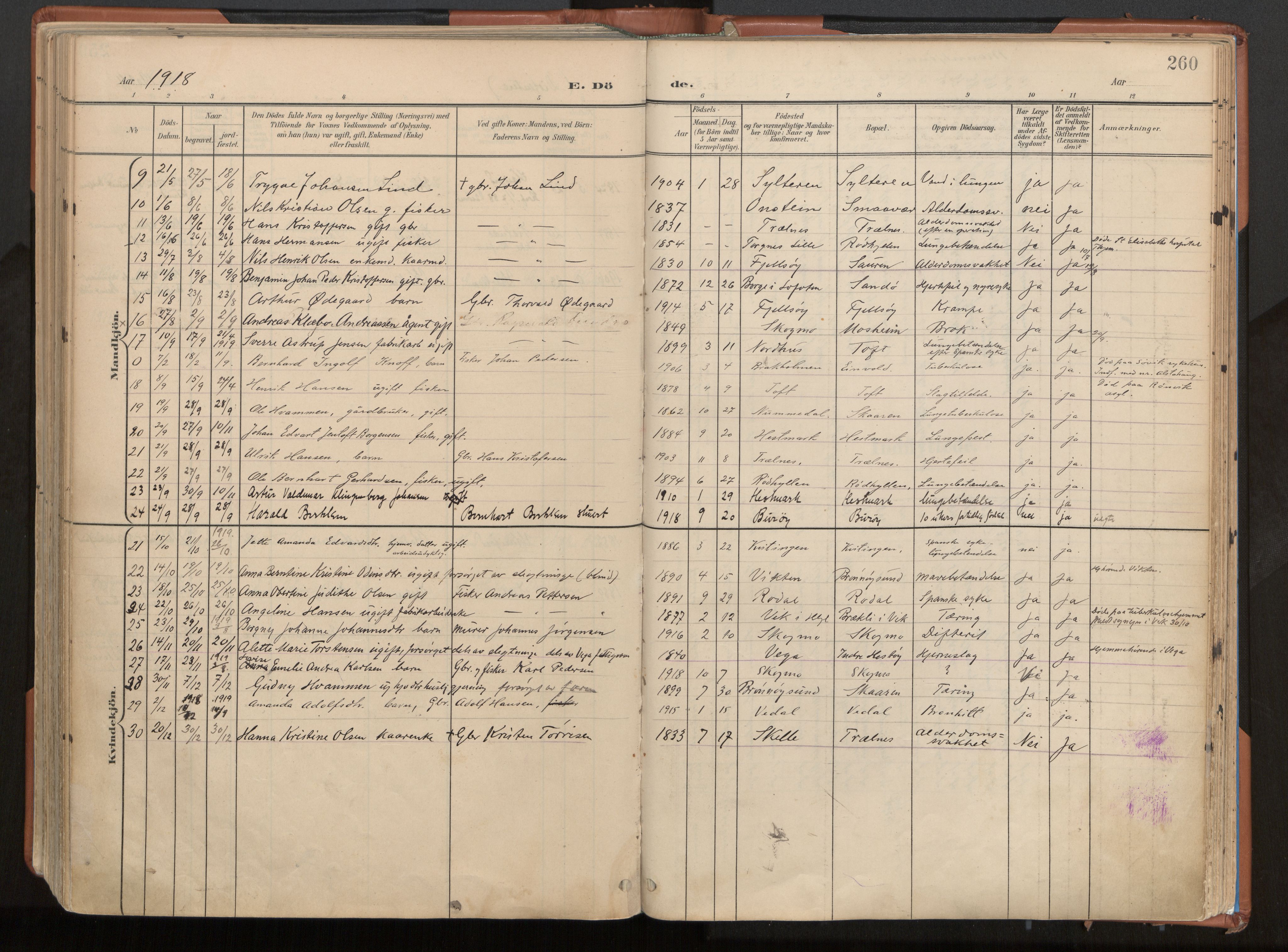 Ministerialprotokoller, klokkerbøker og fødselsregistre - Nordland, SAT/A-1459/813/L0201: Parish register (official) no. 813A11, 1901-1918, p. 260