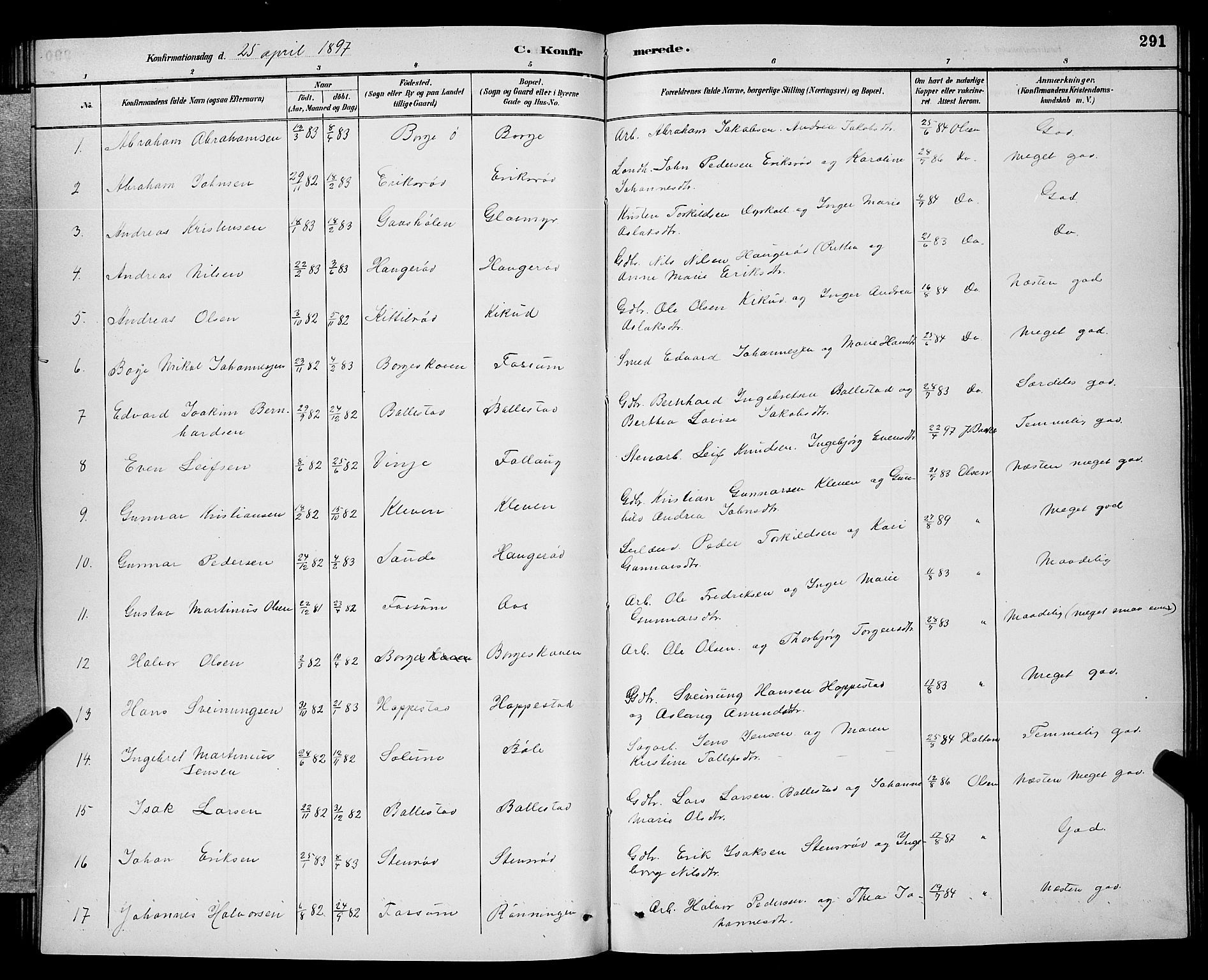 Gjerpen kirkebøker, SAKO/A-265/G/Ga/L0002: Parish register (copy) no. I 2, 1883-1900, p. 291