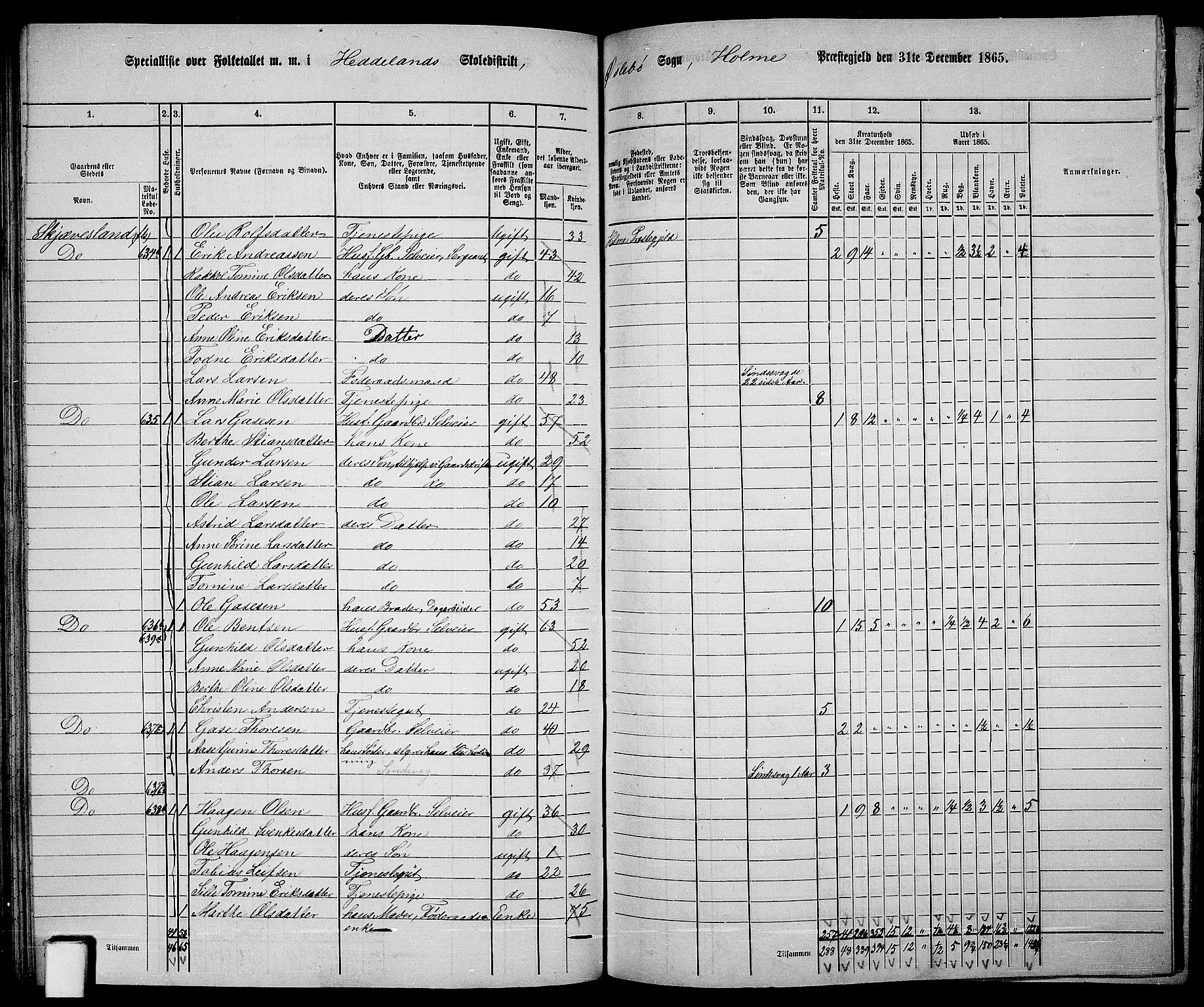 RA, 1865 census for Holum, 1865, p. 97