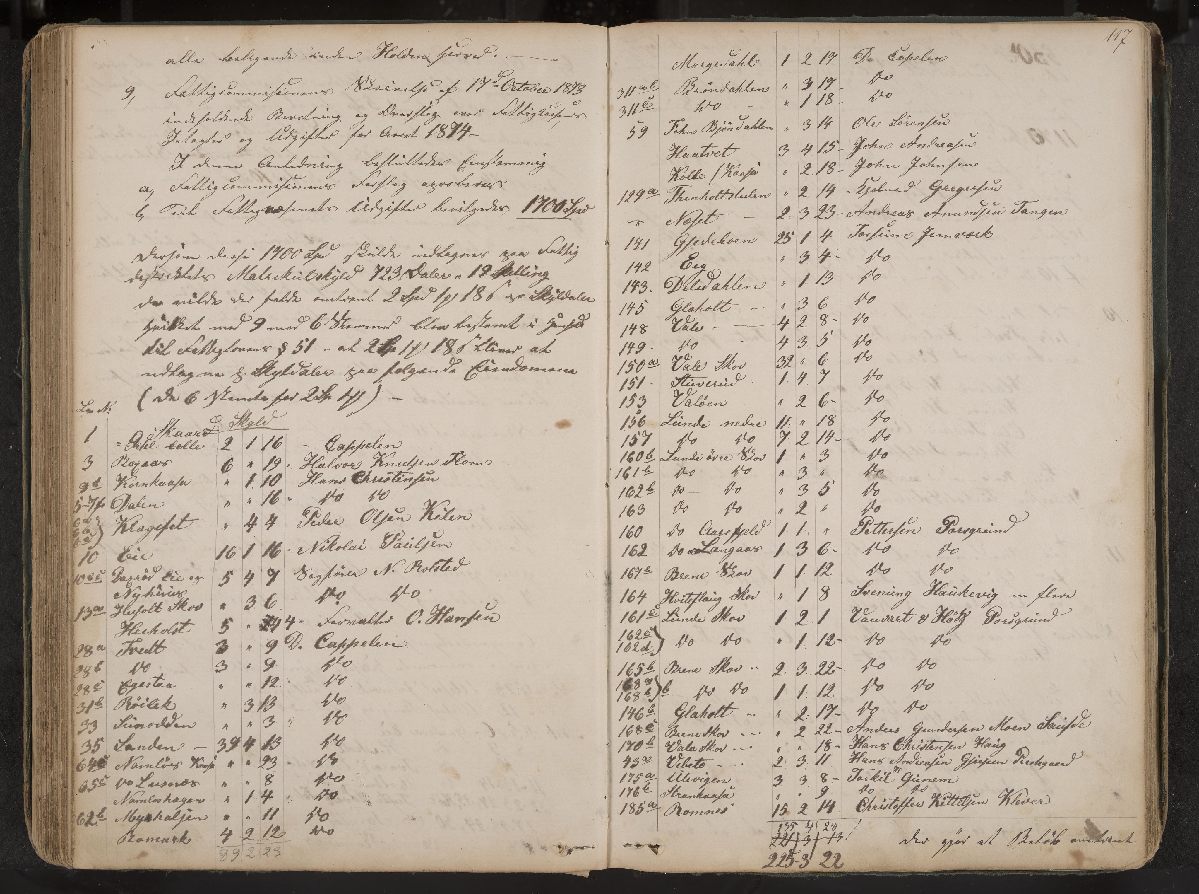 Holla formannskap og sentraladministrasjon, IKAK/0819021-1/A/L0002: Møtebok, 1864-1880, p. 117