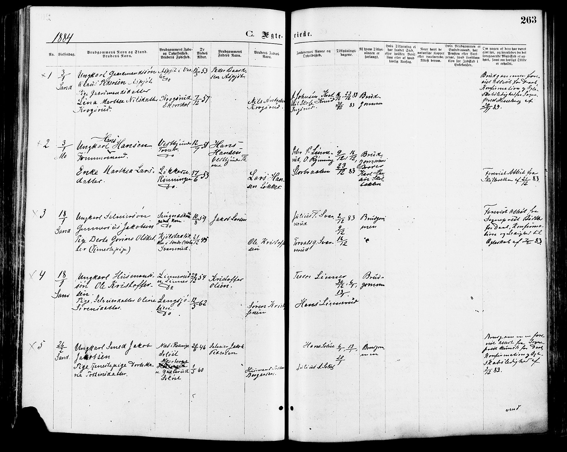 Nord-Odal prestekontor, AV/SAH-PREST-032/H/Ha/Haa/L0005: Parish register (official) no. 5, 1874-1885, p. 263