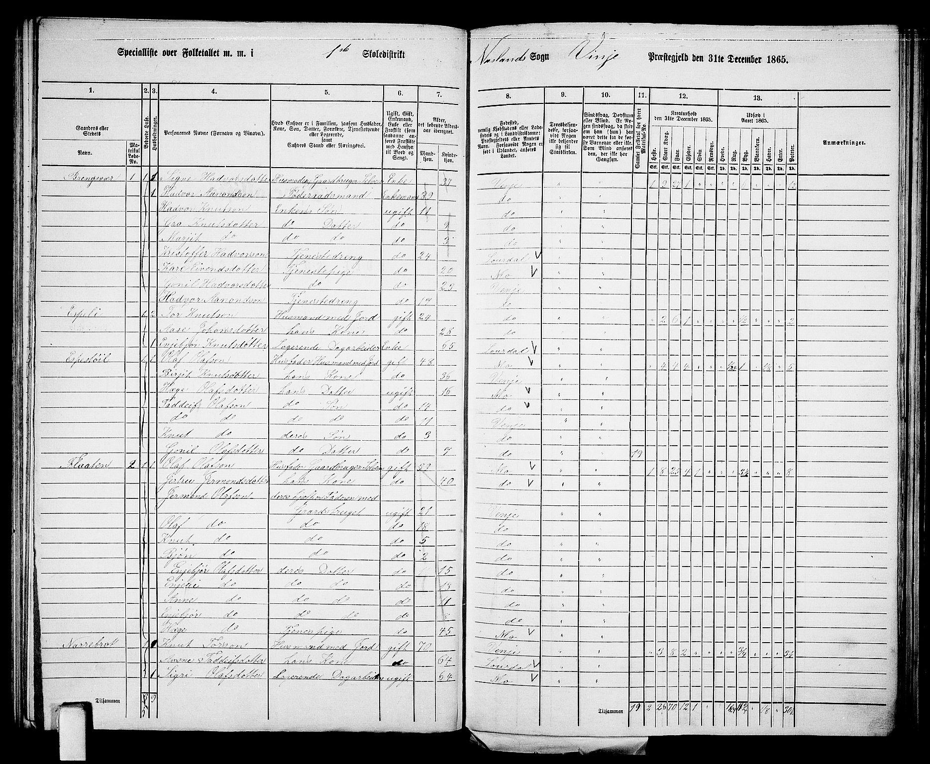 RA, 1865 census for Vinje, 1865, p. 6