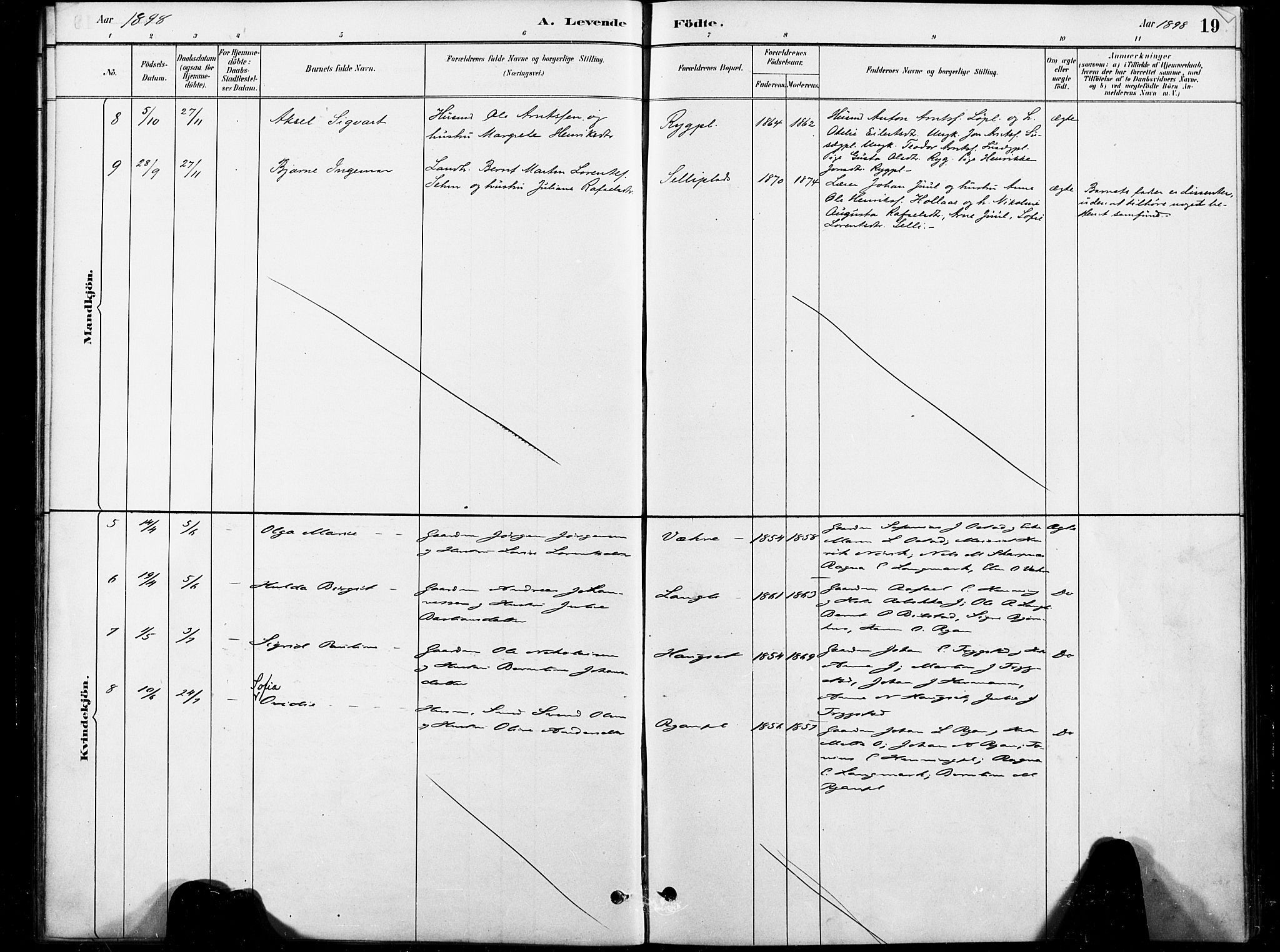 Ministerialprotokoller, klokkerbøker og fødselsregistre - Nord-Trøndelag, SAT/A-1458/738/L0364: Parish register (official) no. 738A01, 1884-1902, p. 19