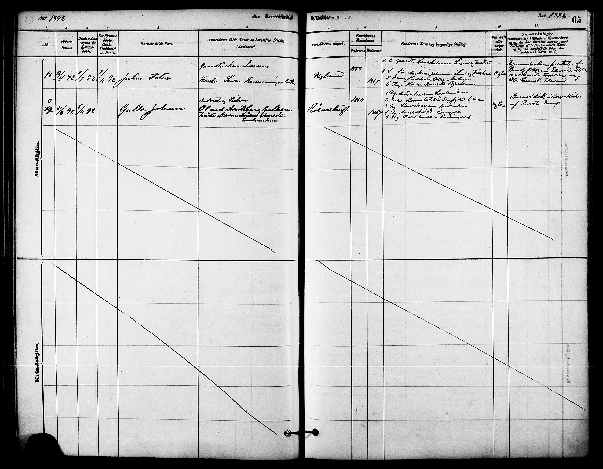 Ministerialprotokoller, klokkerbøker og fødselsregistre - Nordland, AV/SAT-A-1459/823/L0325: Parish register (official) no. 823A02, 1878-1898, p. 65