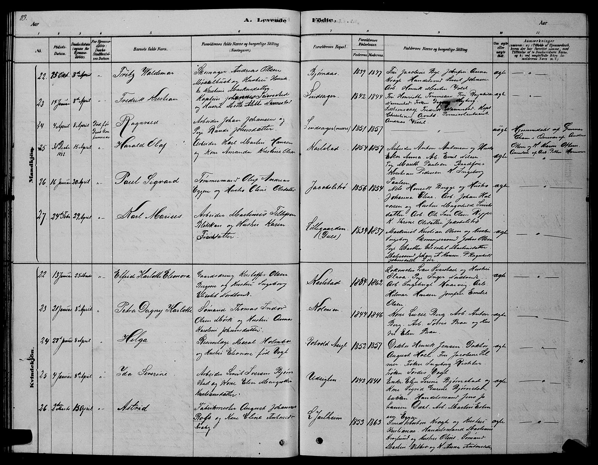 Ministerialprotokoller, klokkerbøker og fødselsregistre - Sør-Trøndelag, AV/SAT-A-1456/606/L0312: Parish register (copy) no. 606C08, 1878-1894, p. 83