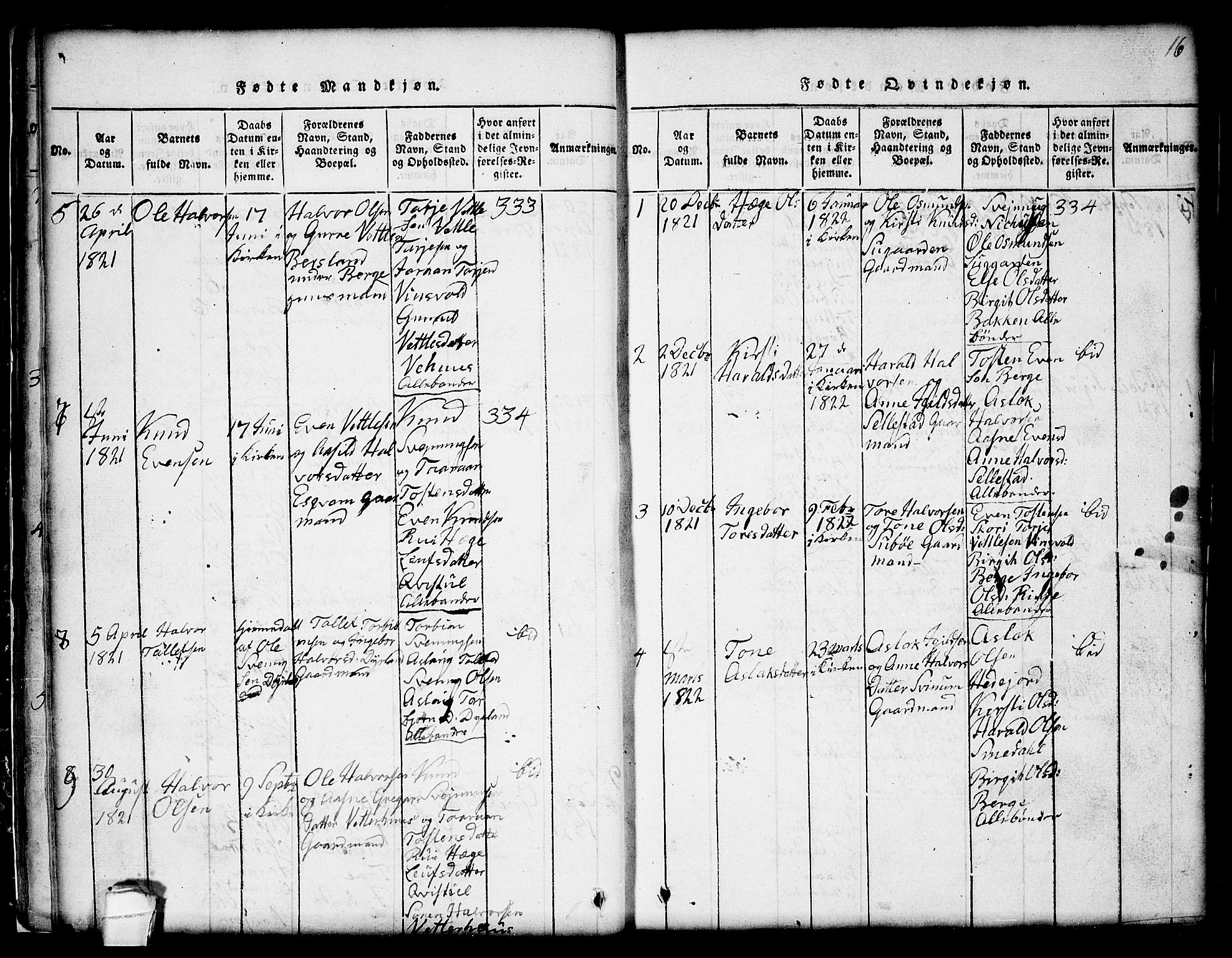 Seljord kirkebøker, SAKO/A-20/G/Gc/L0001: Parish register (copy) no. III 1, 1815-1849, p. 16