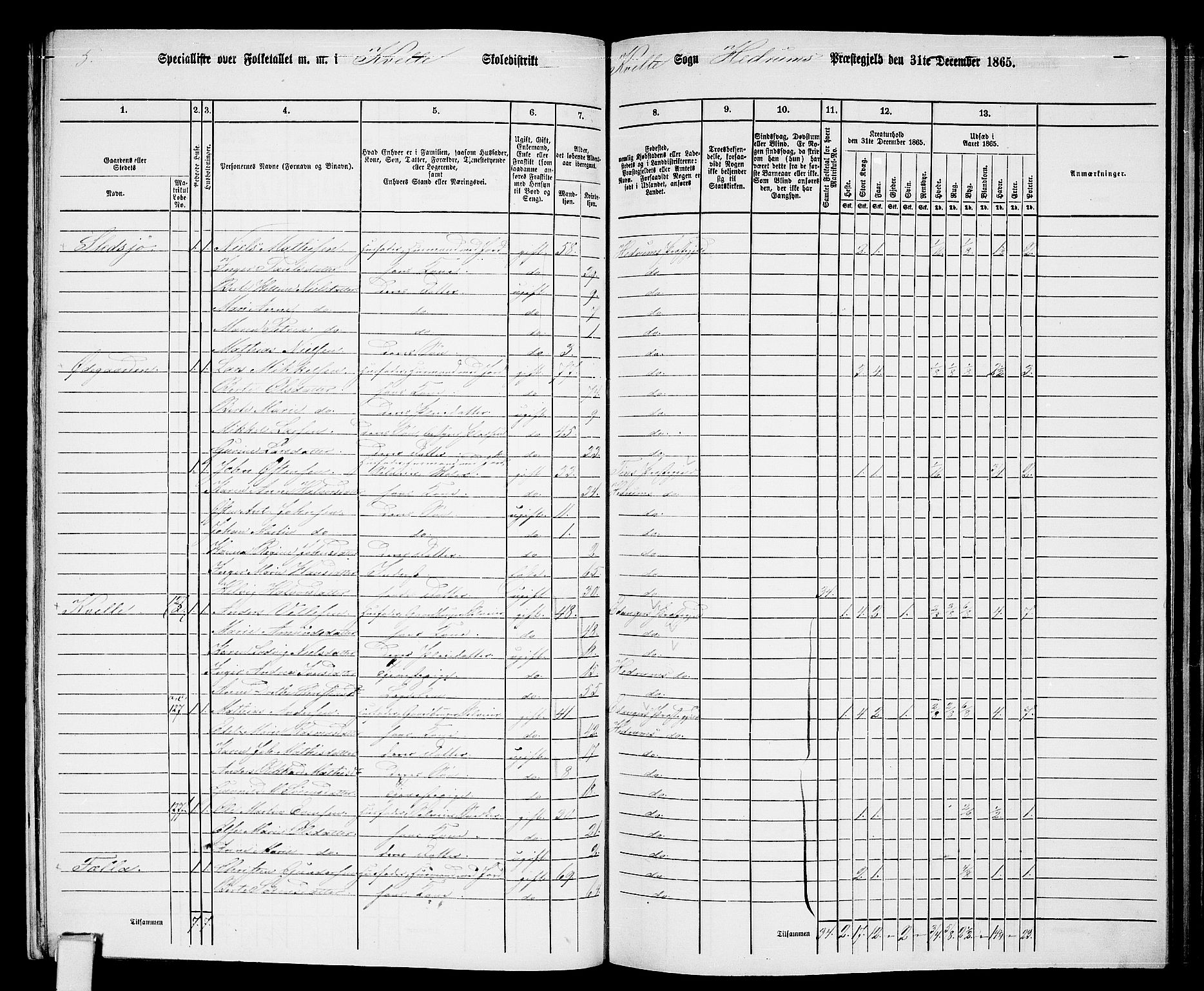 RA, 1865 census for Hedrum, 1865, p. 115