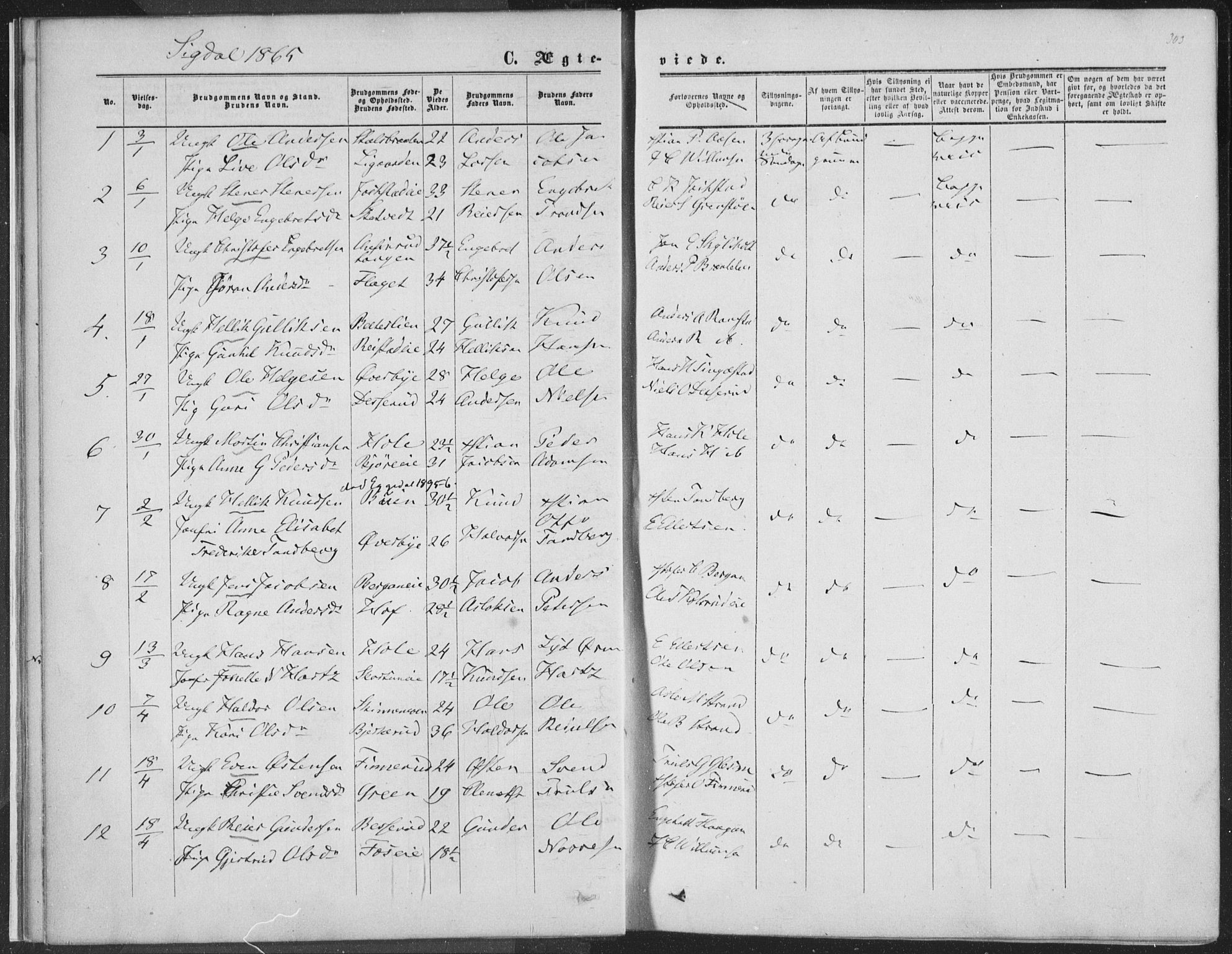 Sigdal kirkebøker, AV/SAKO-A-245/F/Fa/L0009b: Parish register (official) no. I 9B, 1860-1871, p. 303