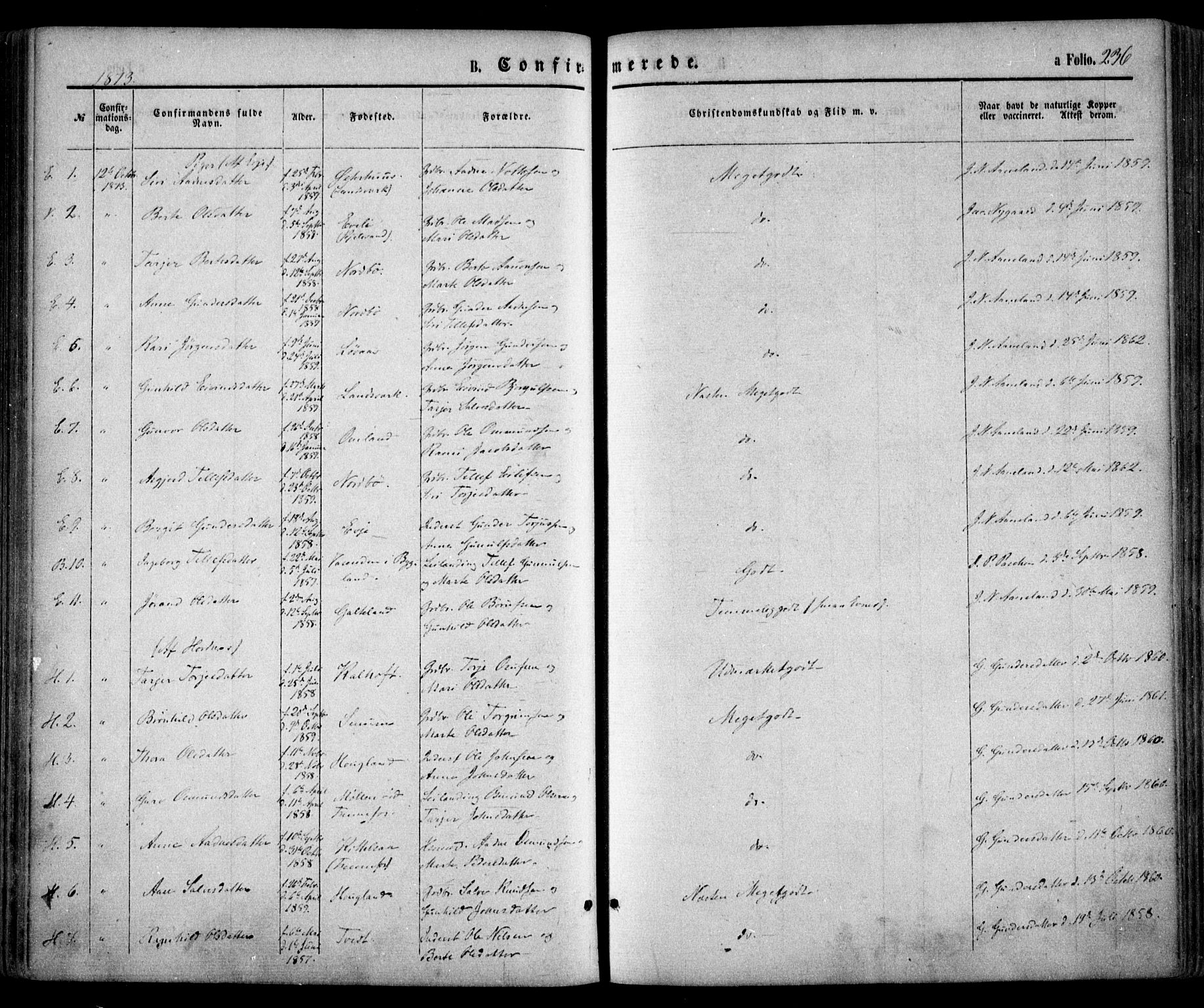 Evje sokneprestkontor, SAK/1111-0008/F/Fa/Faa/L0006: Parish register (official) no. A 6, 1866-1884, p. 236