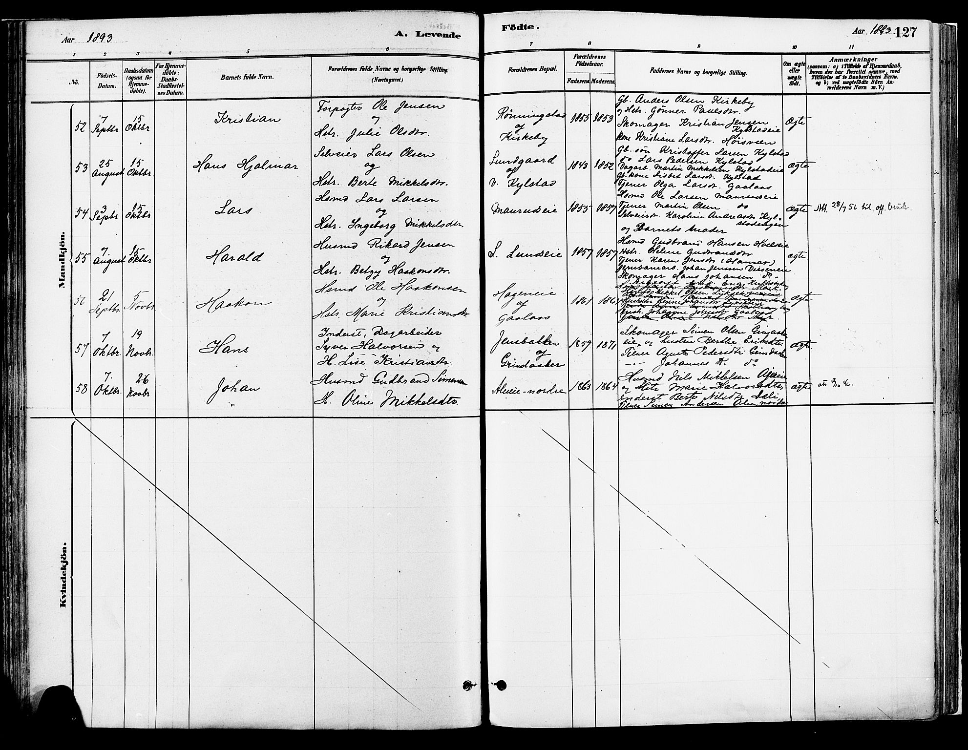 Vang prestekontor, Hedmark, SAH/PREST-008/H/Ha/Haa/L0018A: Parish register (official) no. 18A, 1880-1906, p. 127