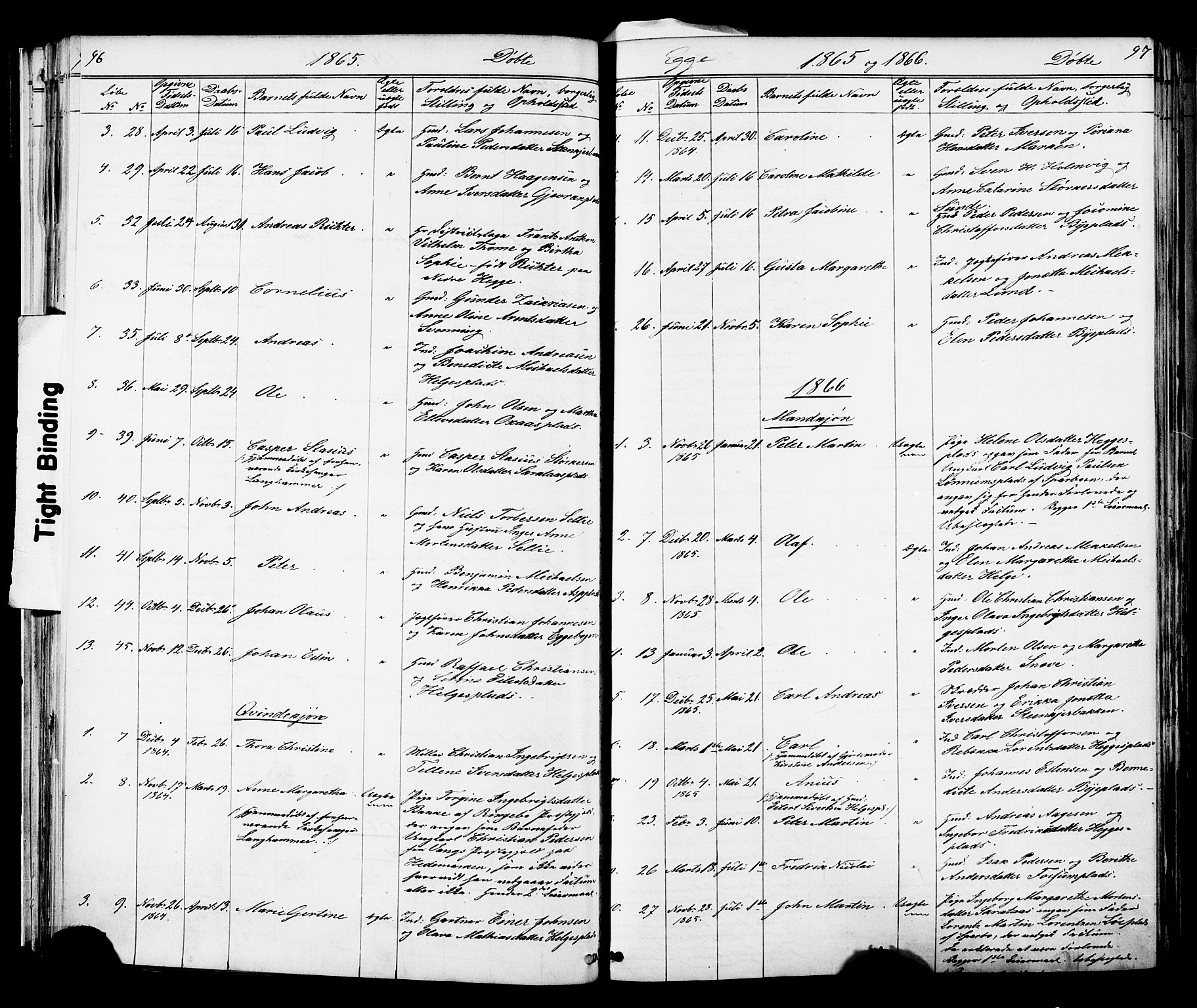 Ministerialprotokoller, klokkerbøker og fødselsregistre - Nord-Trøndelag, SAT/A-1458/739/L0367: Parish register (official) no. 739A01 /3, 1838-1868, p. 96-97