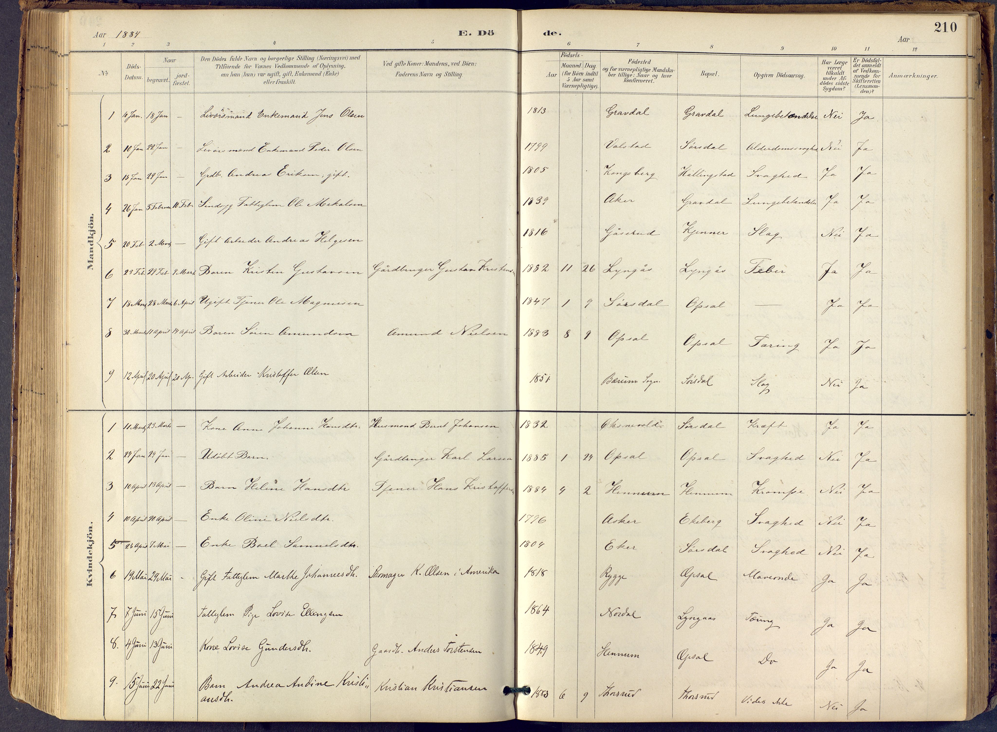 Lier kirkebøker, AV/SAKO-A-230/F/Fb/L0001: Parish register (official) no. II 1, 1883-1910, p. 210