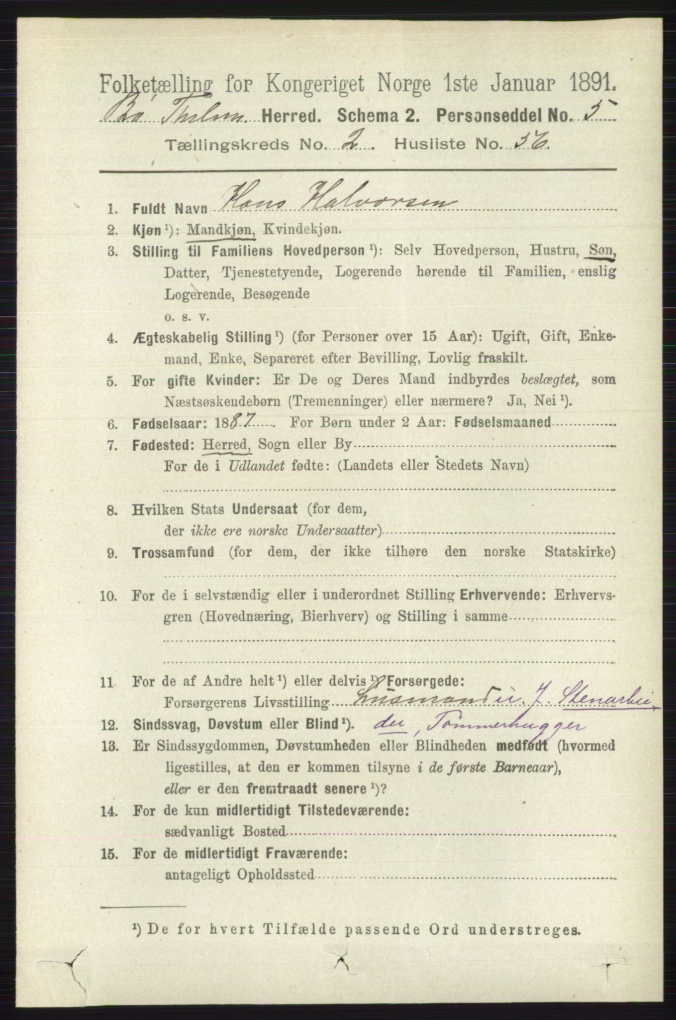 RA, 1891 census for 0821 Bø, 1891, p. 971