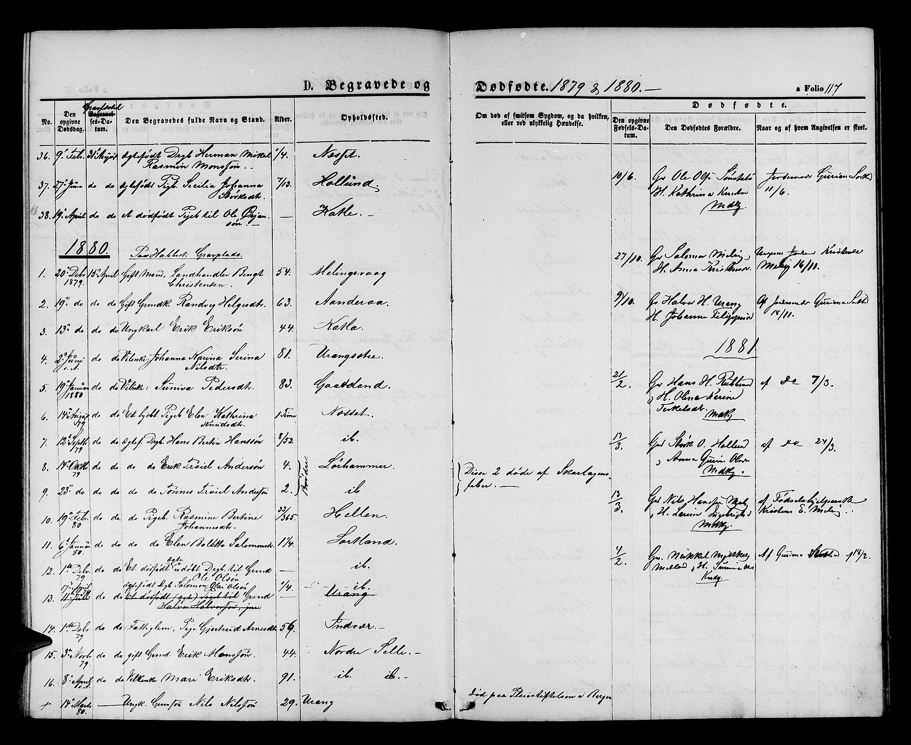 Finnås sokneprestembete, AV/SAB-A-99925/H/Ha/Hab/Habb/L0002: Parish register (copy) no. B 2, 1871-1881, p. 117