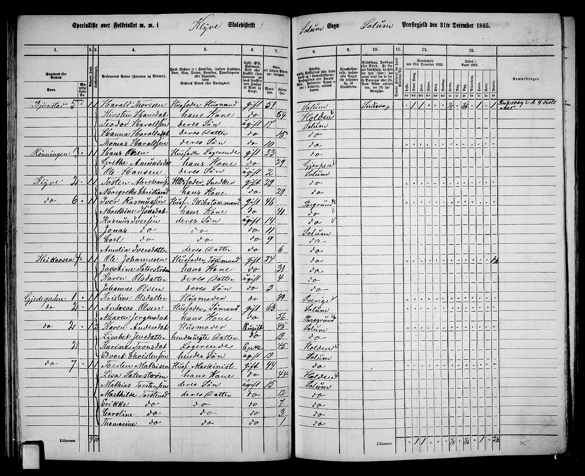 RA, 1865 census for Solum, 1865, p. 98