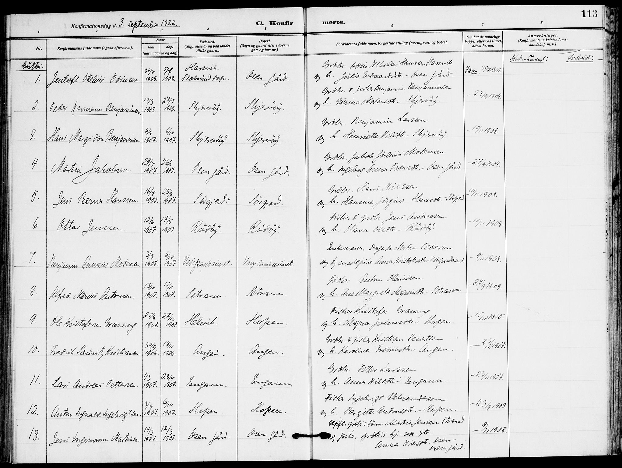 Ministerialprotokoller, klokkerbøker og fødselsregistre - Sør-Trøndelag, SAT/A-1456/658/L0724: Parish register (official) no. 658A03, 1912-1924, p. 113