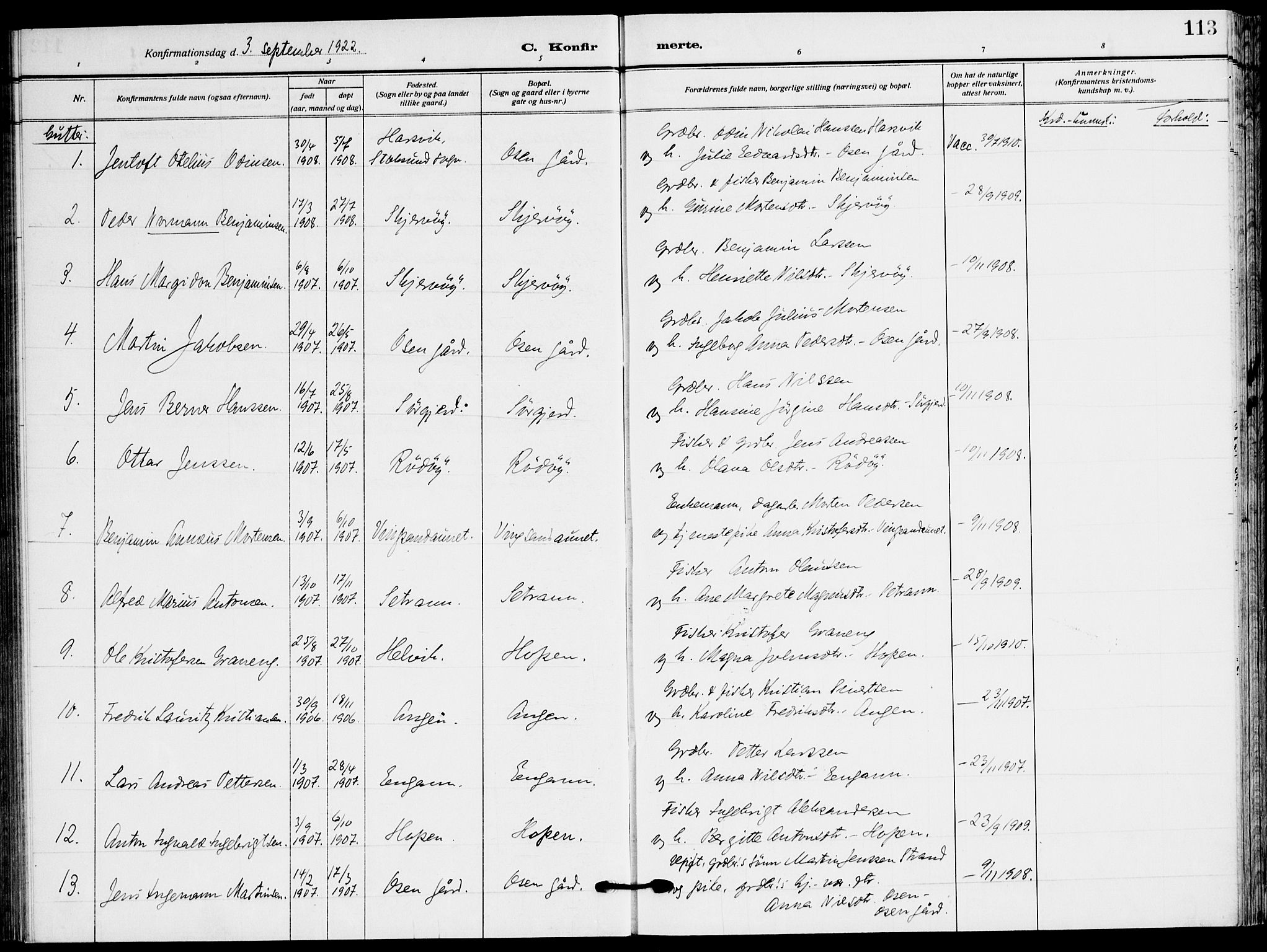 Ministerialprotokoller, klokkerbøker og fødselsregistre - Sør-Trøndelag, AV/SAT-A-1456/658/L0724: Parish register (official) no. 658A03, 1912-1924, p. 113